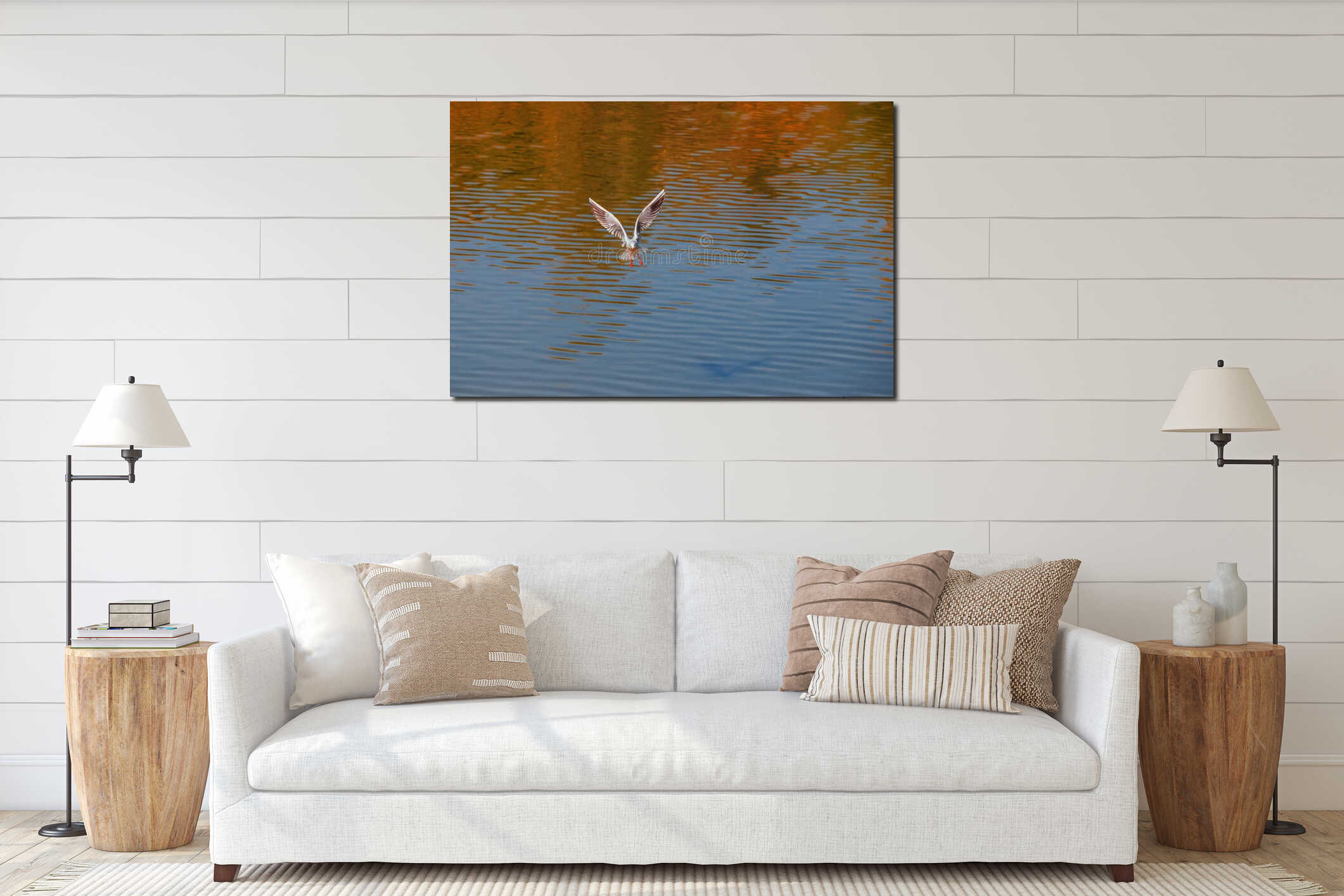 A seagull flies over the surface of the pond. A seagull fluttering its wings. Front view of a seagull in flight interior mockup