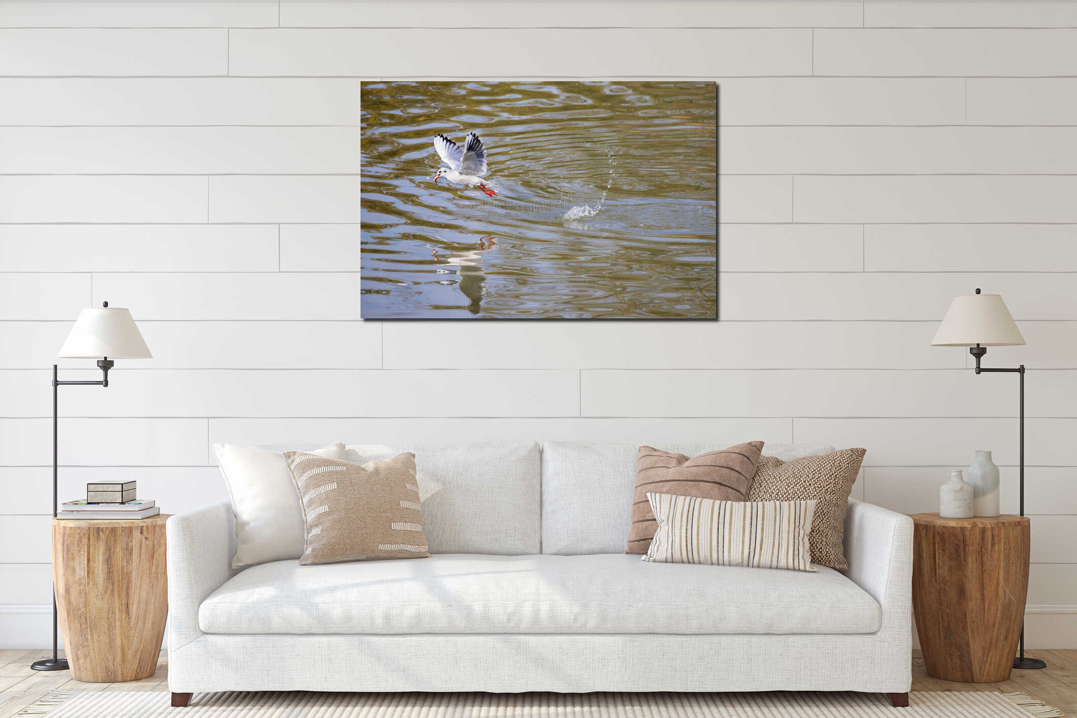 A seagull flies just above the surface of the pond and catches fish. His image is reflected in the water. The seagull has a fish interior mockup
