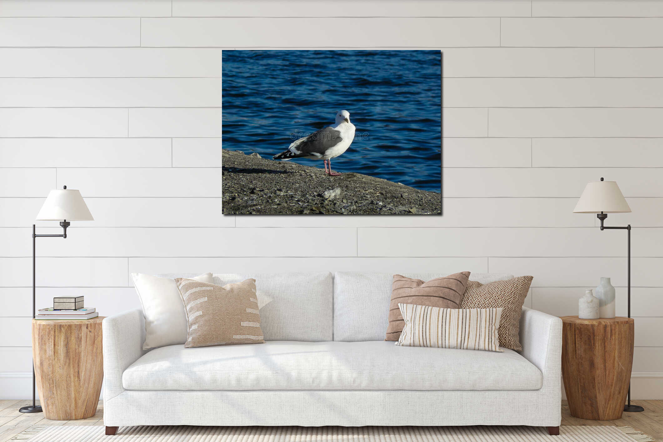 Close up view of white bird seagull sitting on the ground interior mockup