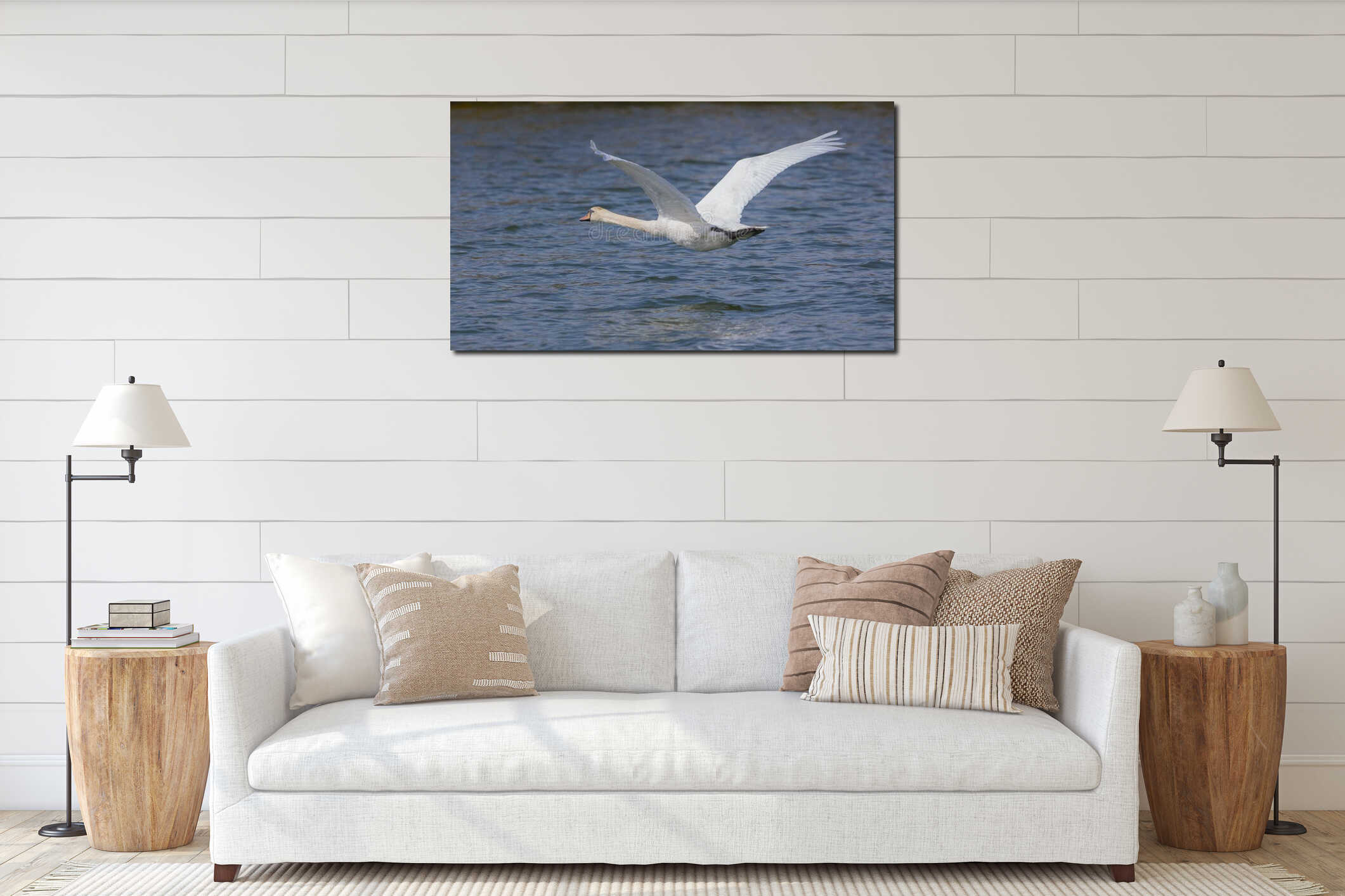 Majestic Mute swan bird flying low just above water with large wings spread out interior mockup
