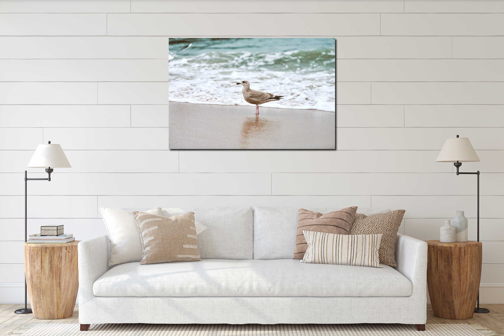 Larus michahellis, yellow-legged gull walking on sandy beach interior mockup
