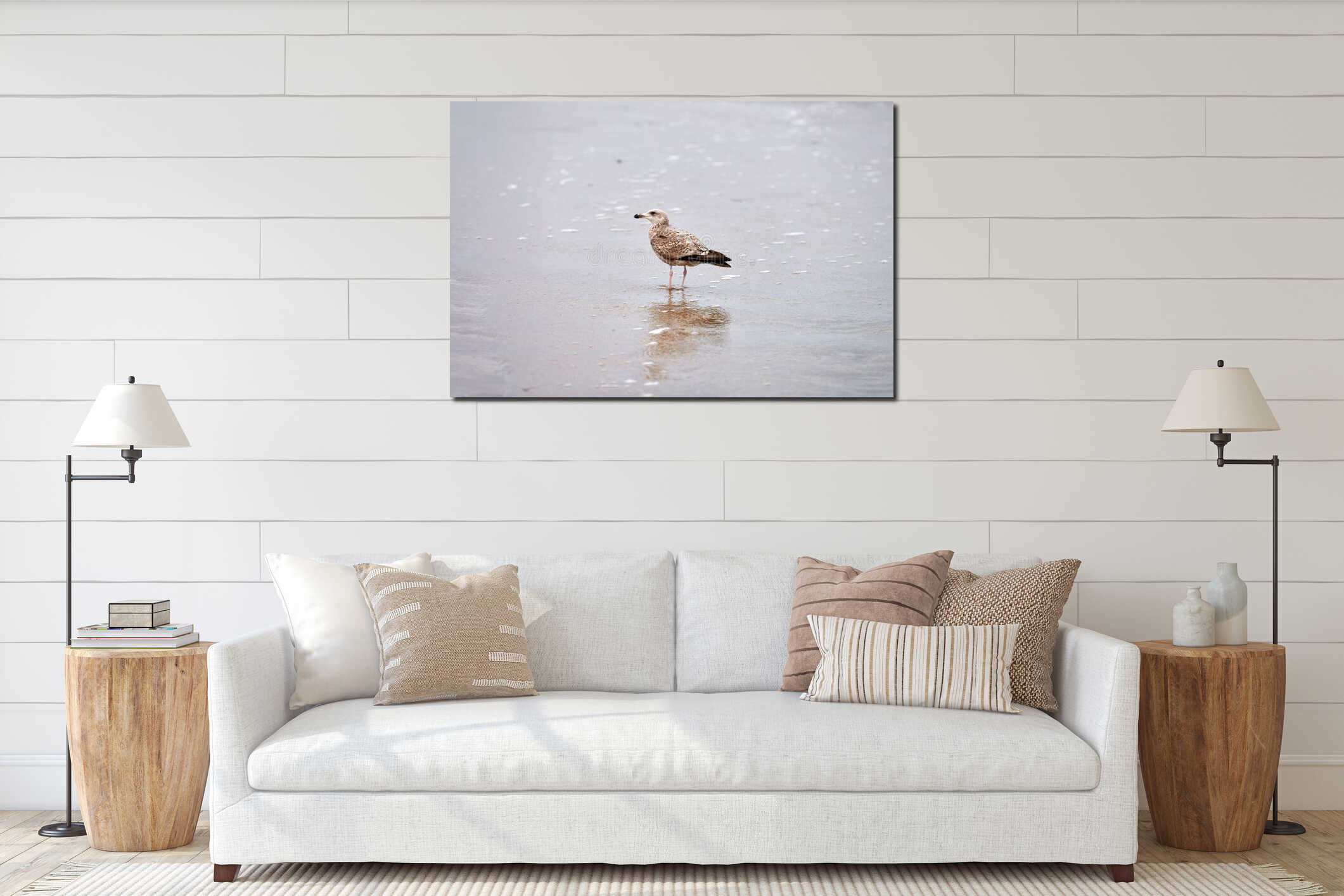 Larus michahellis, yellow-legged gull walking on seashore interior mockup