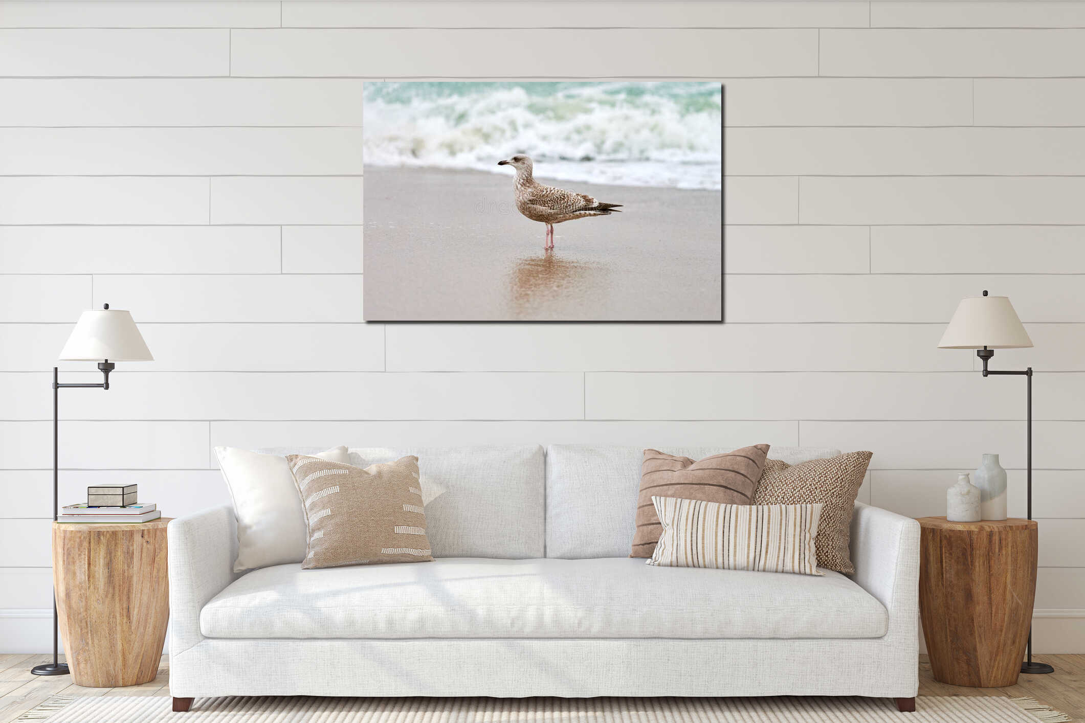 Larus michahellis, yellow-legged gull walking on sandy beach interior mockup