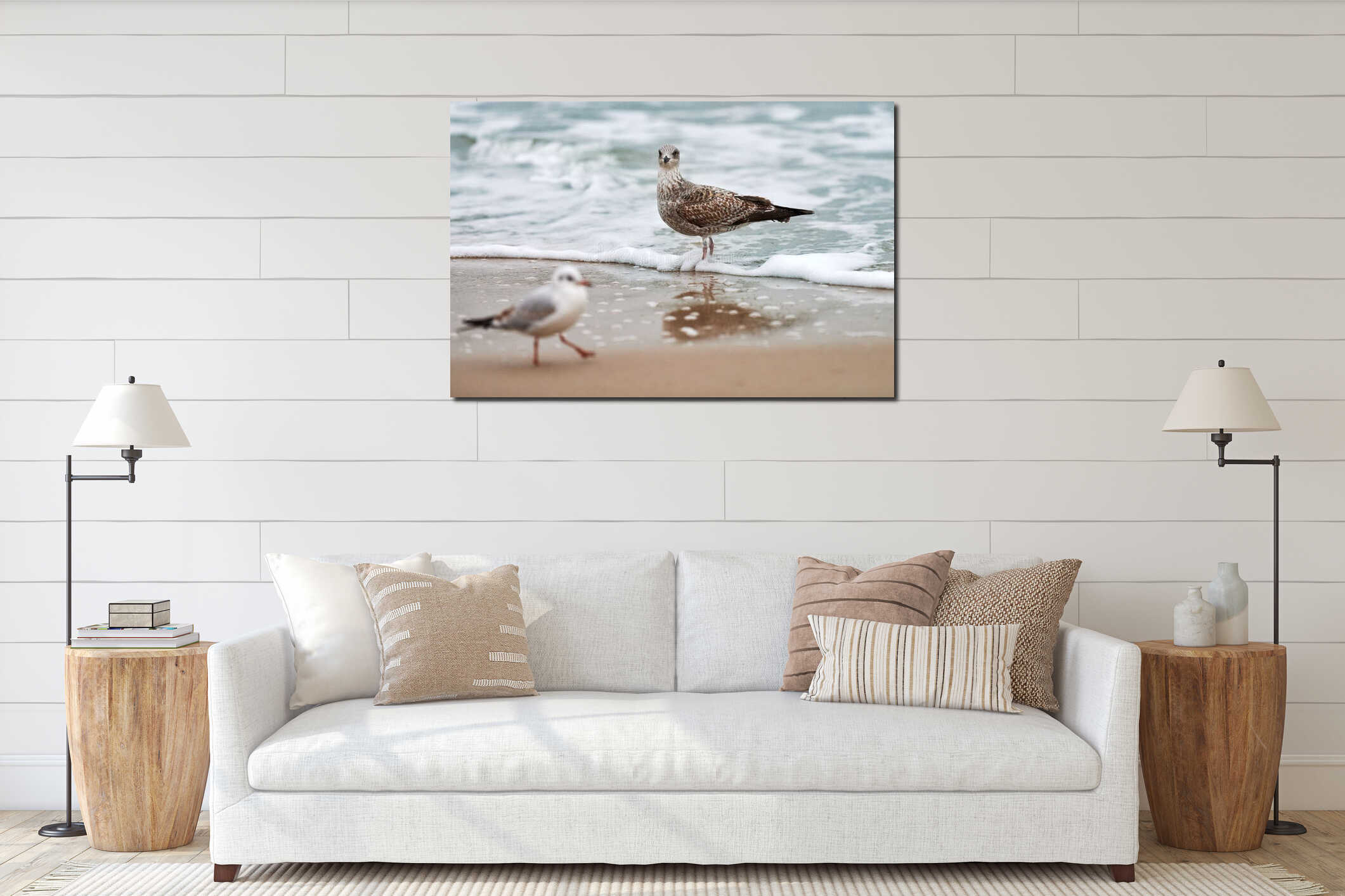 Larus michahellis, yellow-legged gull walking on sandy beach interior mockup