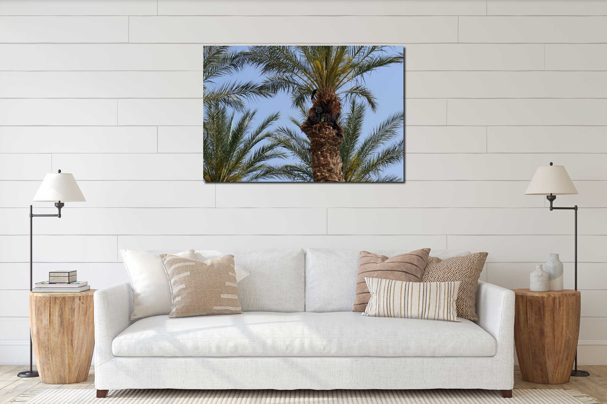 Two beautiful birds parrot and crow sits on palm tree interior mockup