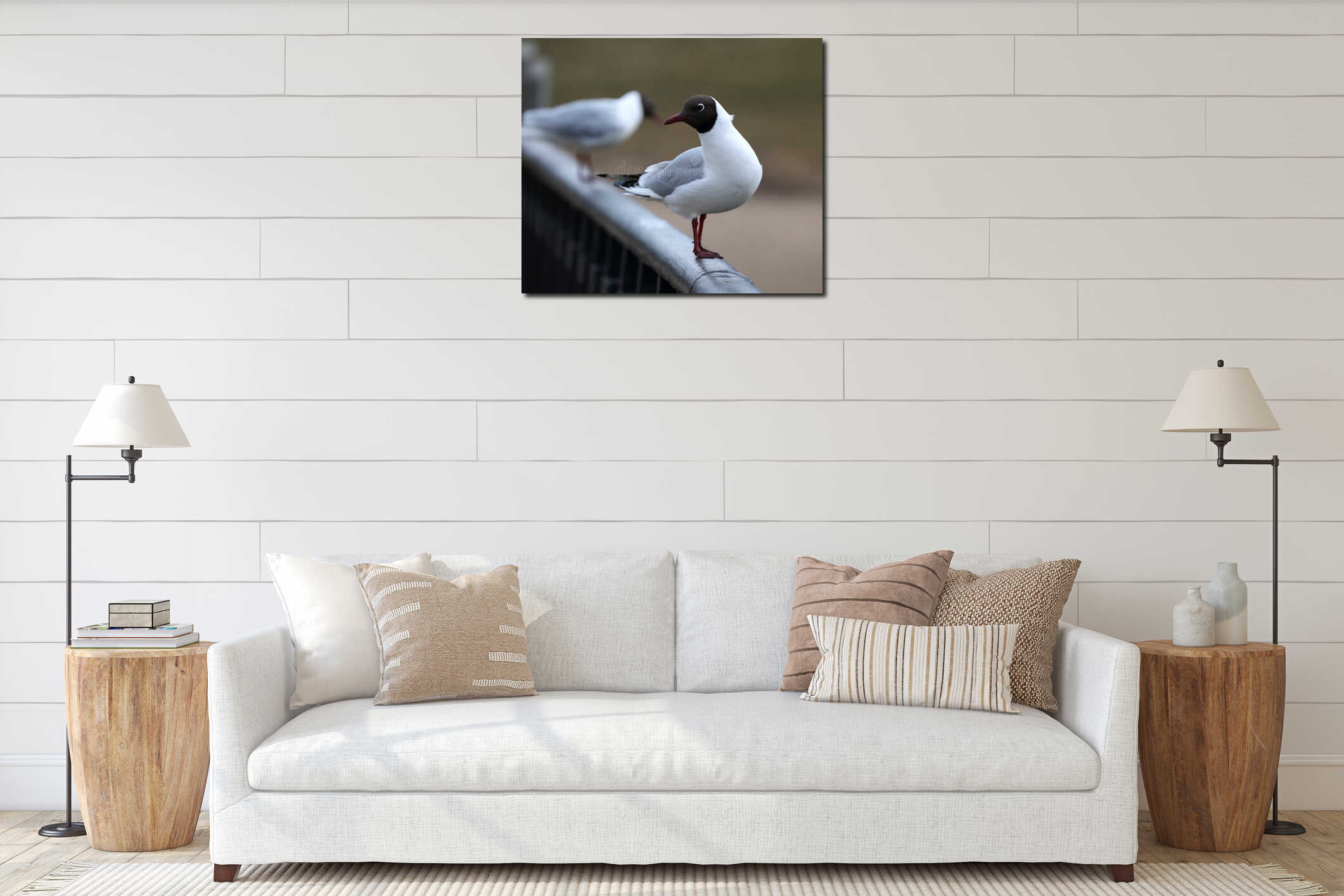 Black-headed gull sits on a metal railing interior mockup