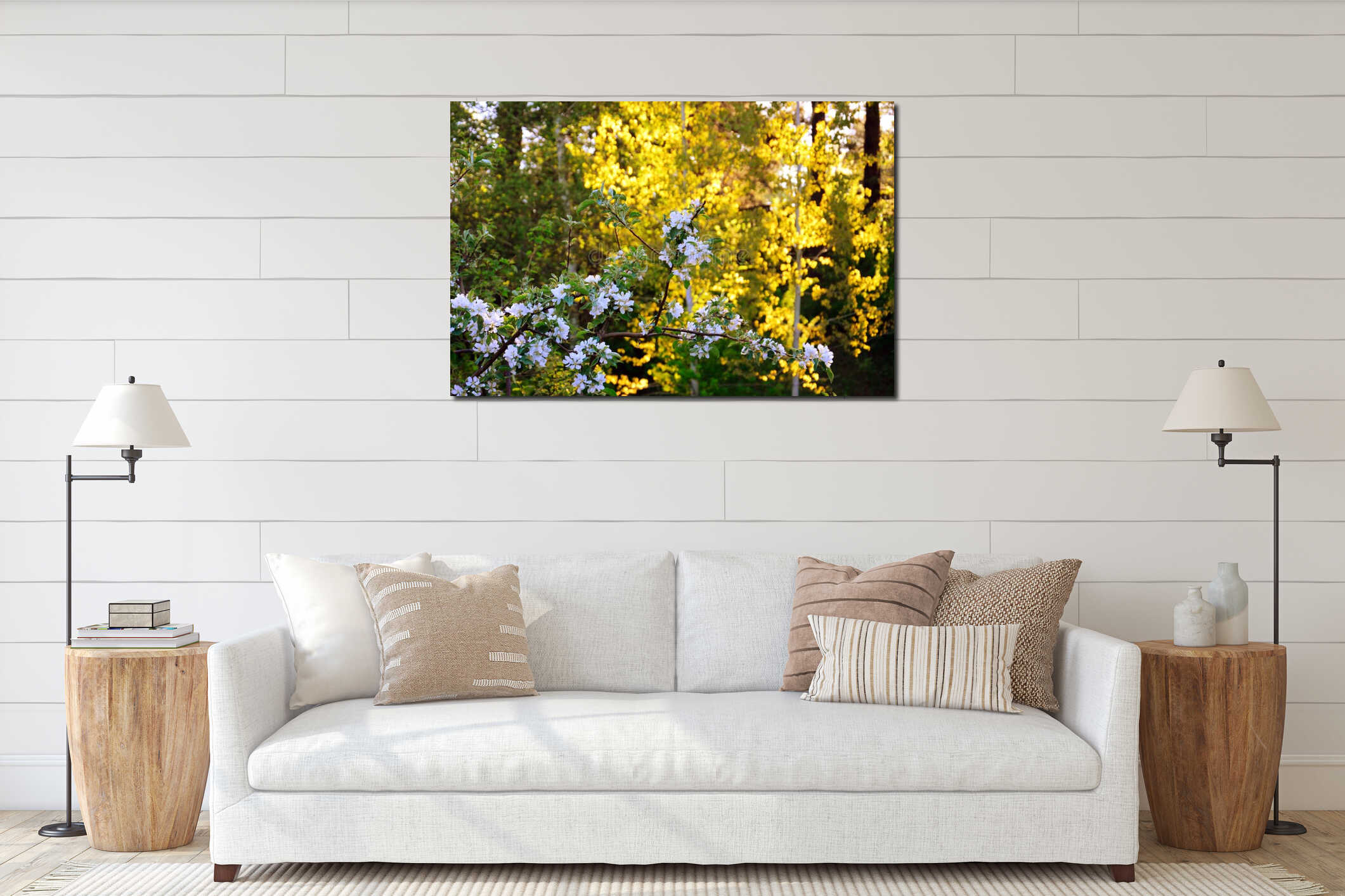 Blooming branch of apple tree in the morning in the garden. The sun`s rays illuminate beautifully the aspen leaves in the forest. interior mockup
