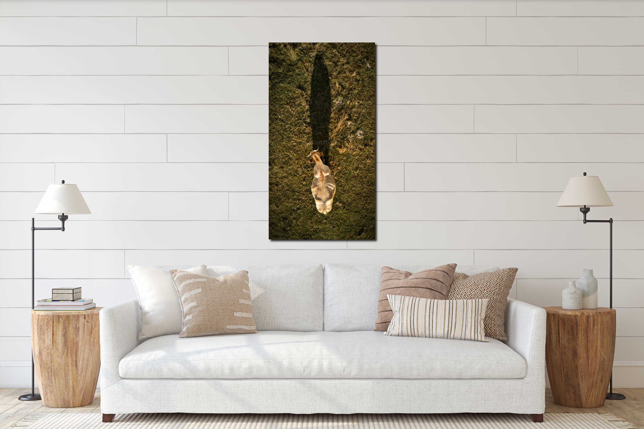 Top view of light brown cow grazing on pasture land interior mockup