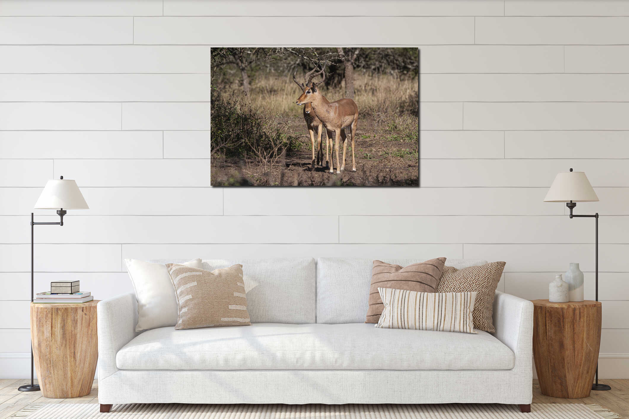 Close Up of Two Nyala Antelope in Natural Bushy Vegetation interior mockup