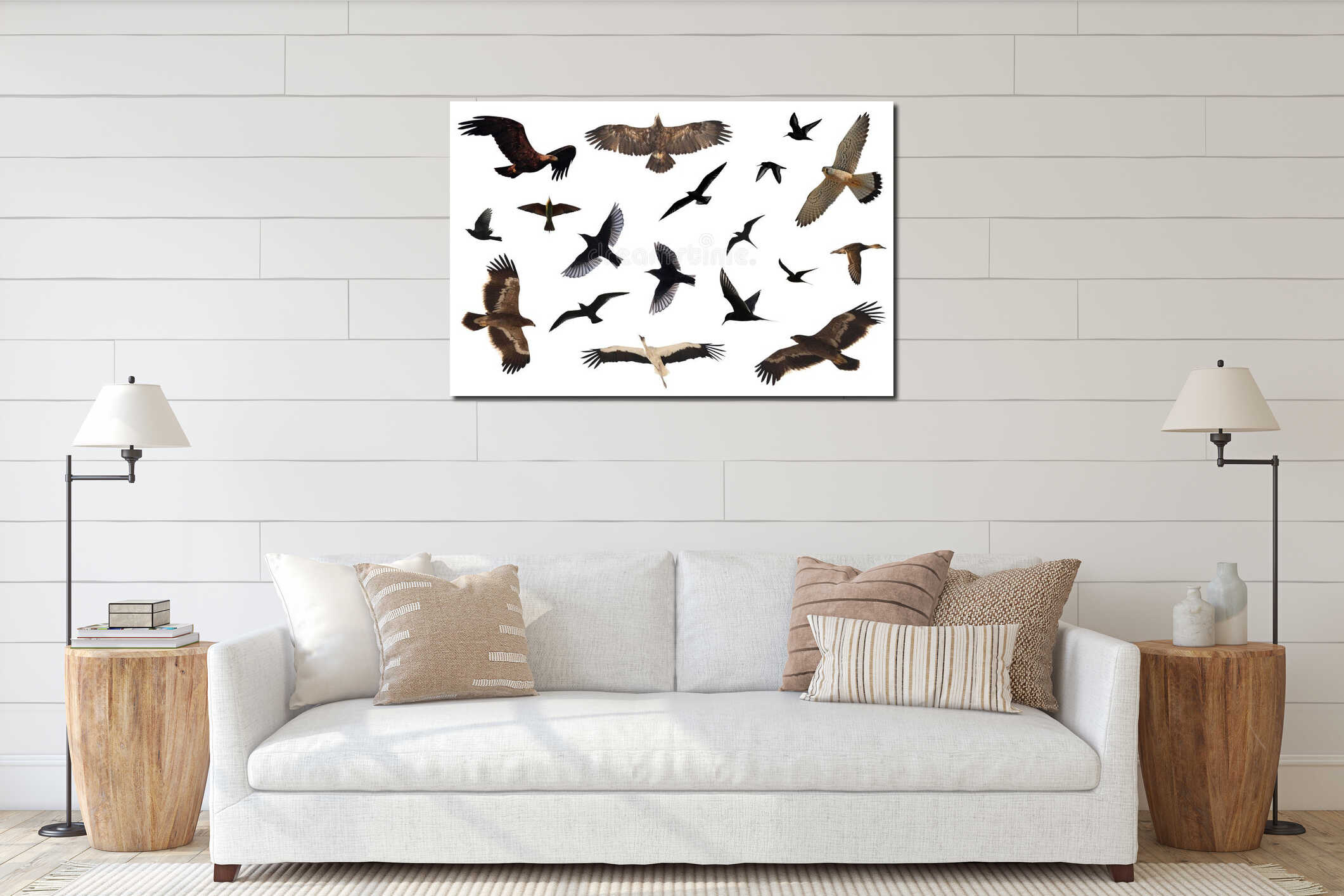 Bird Collection interior mockup
