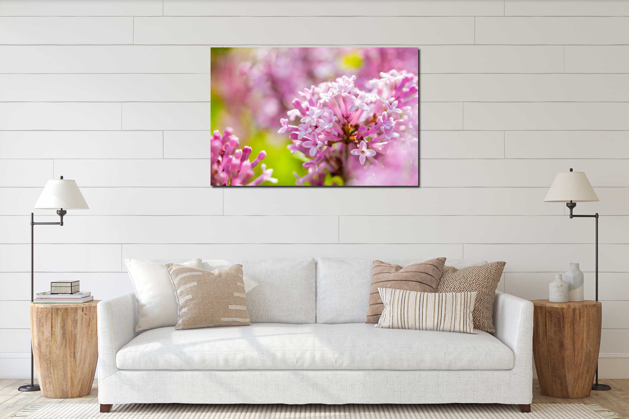 Close-up of the beautiful violet/pink flowers of the small plant Korean Lilac or Dwarf lilac lit by the sunlight, Syringa meyeri interior mockup