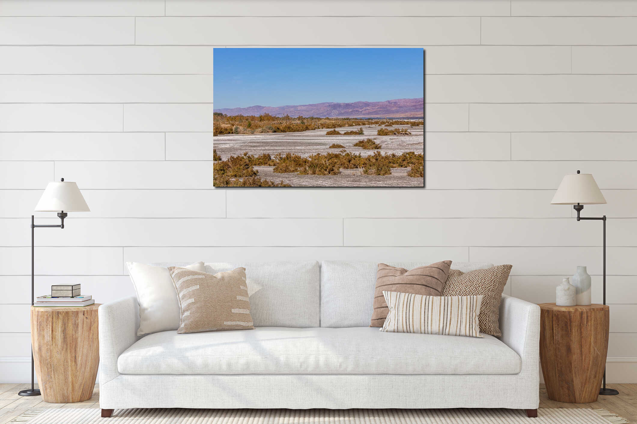 Dry salty marsh land at NW Salton Sea, CA, USA interior mockup
