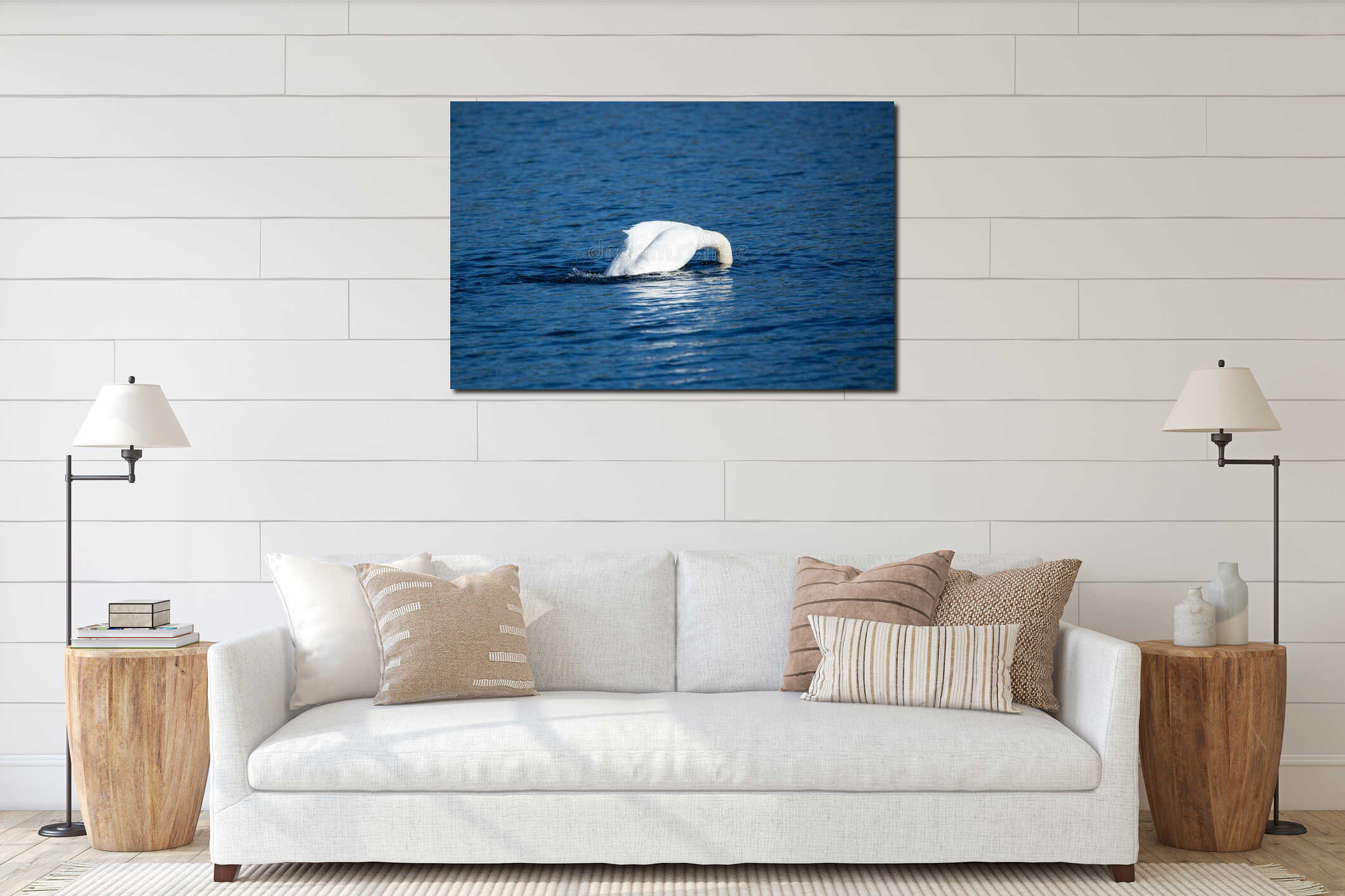 Beautiful majestic mute swan diving interior mockup