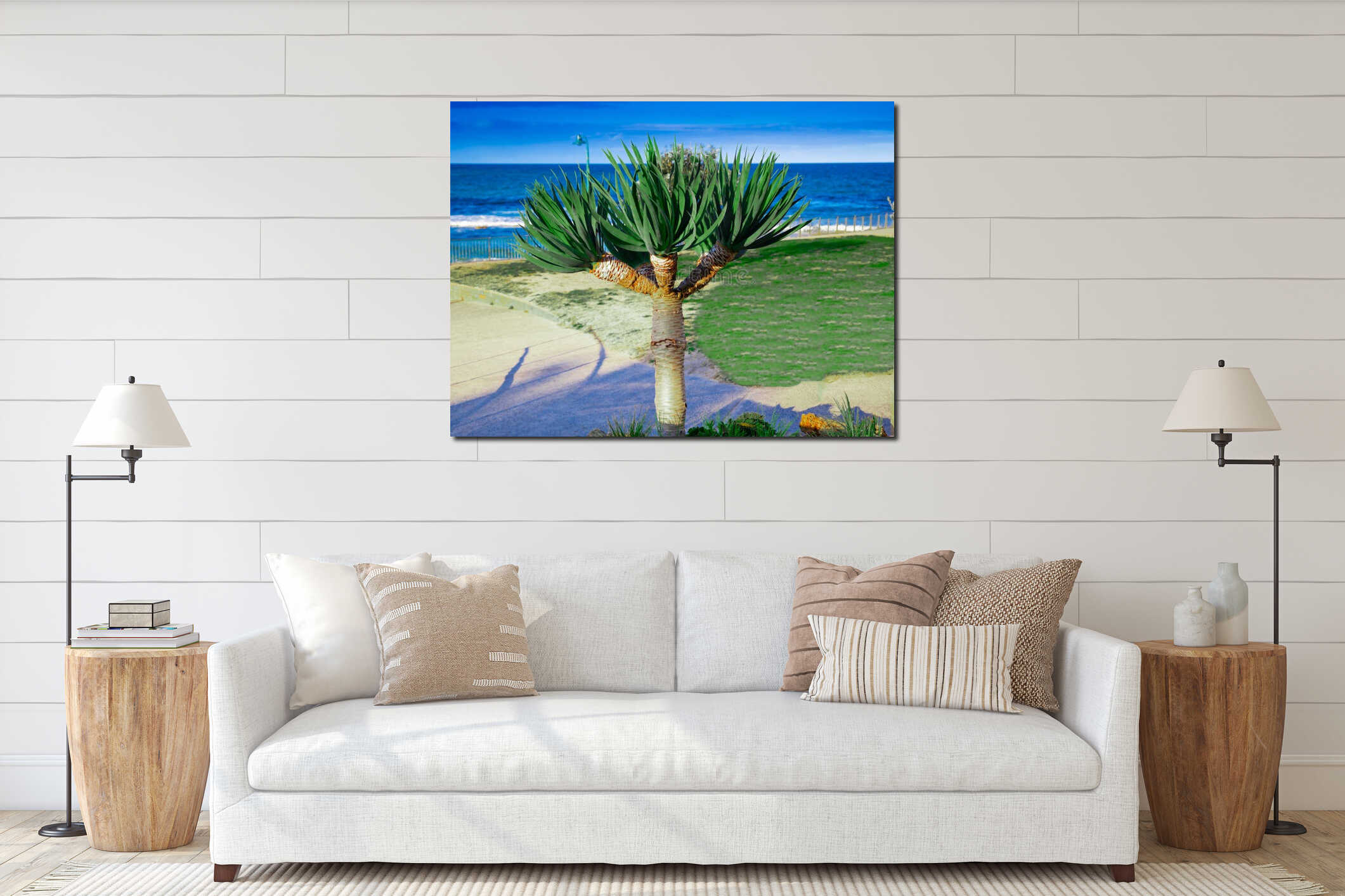 Dragon tree on bronte beach with the words written hello SydneyNSW Australia. Nice blue skies, clear turquoise waters. interior mockup
