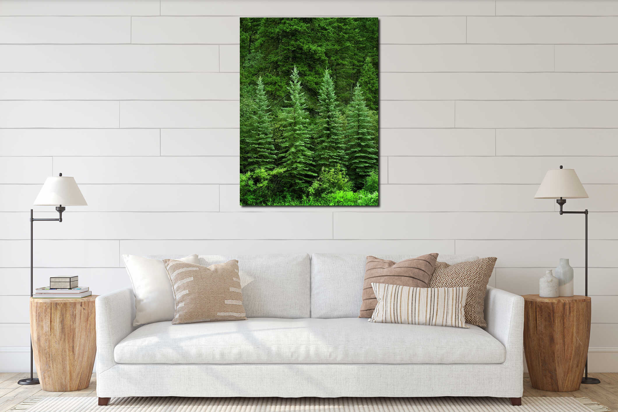 Lush Green Pine Trees Forest in Wilderness interior mockup