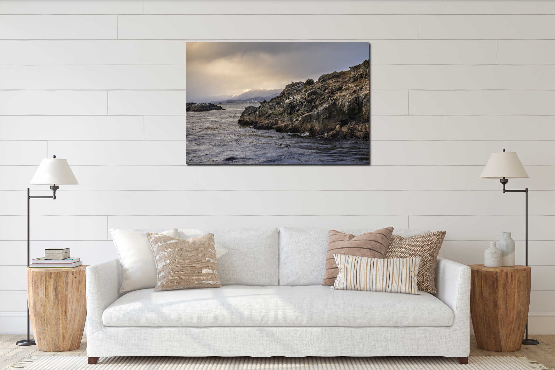 Desertic rock island with ground layers and sea birds like seagulls and cormorants in Ushuaia, Tierra del Fuego, Argentina interior mockup