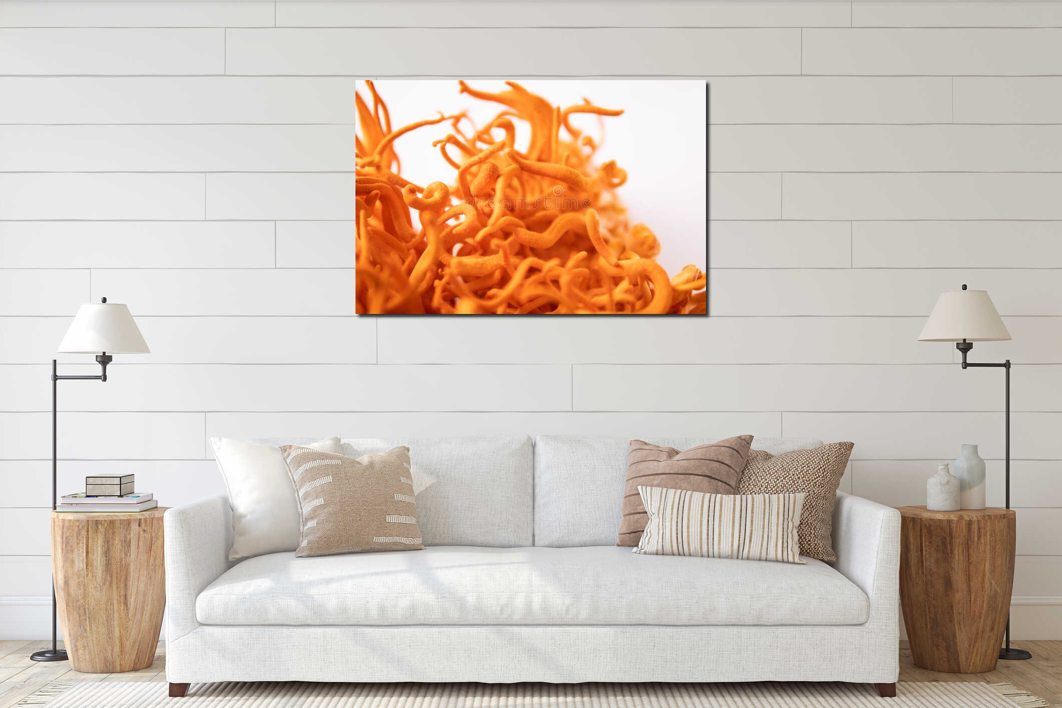 Cordyceps Militaris mushroom. cordycepin Using . White background. Treatment with Adenosine. interior mockup