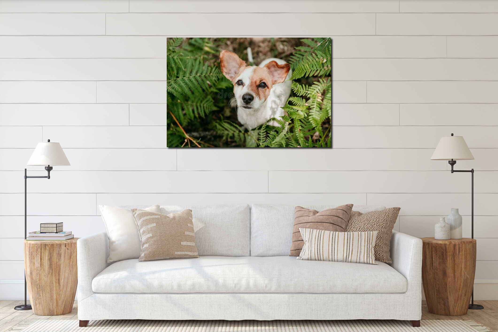 Top view of cute jack russell dog sitting in forest among fern green leaves. Nature and pets interior mockup