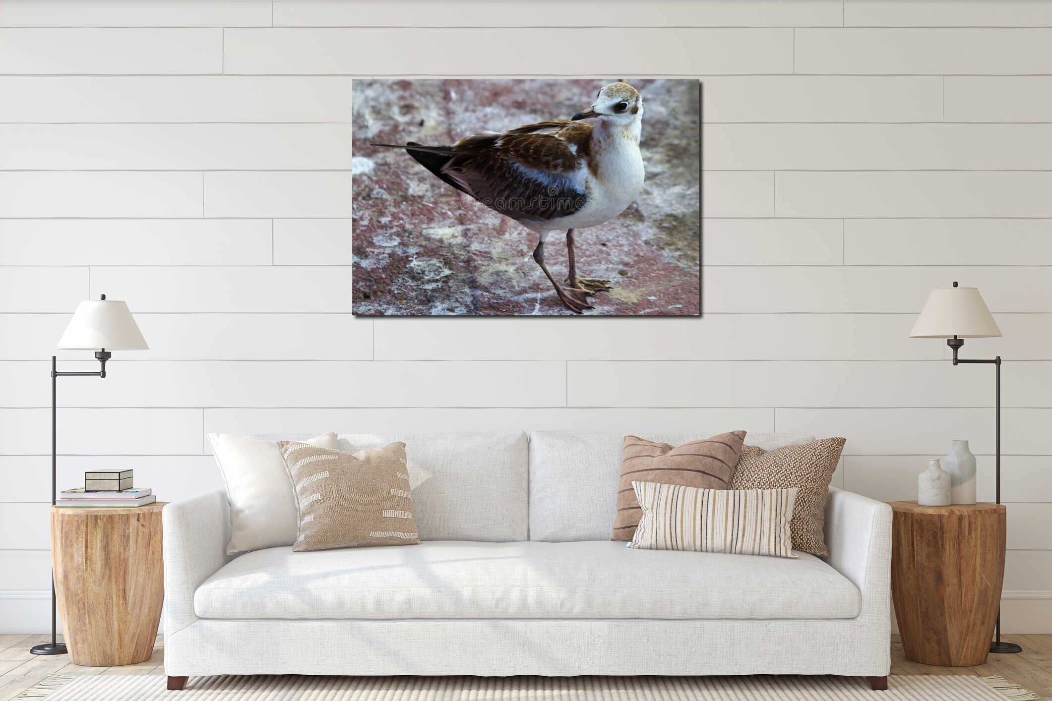 A seagull on the coastal rocks poses for a photographer. interior mockup