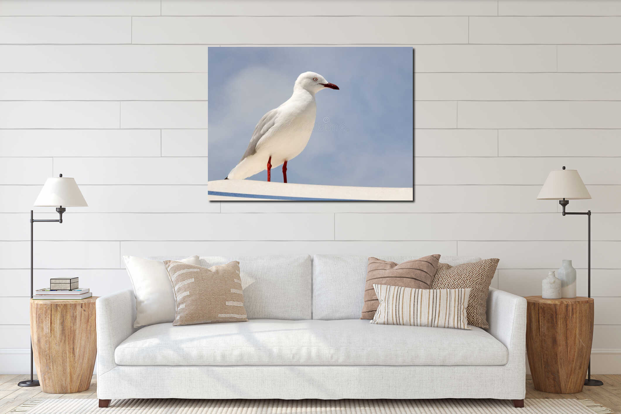 a seagull standing in front of the sky on nsw south coast of australia interior mockup