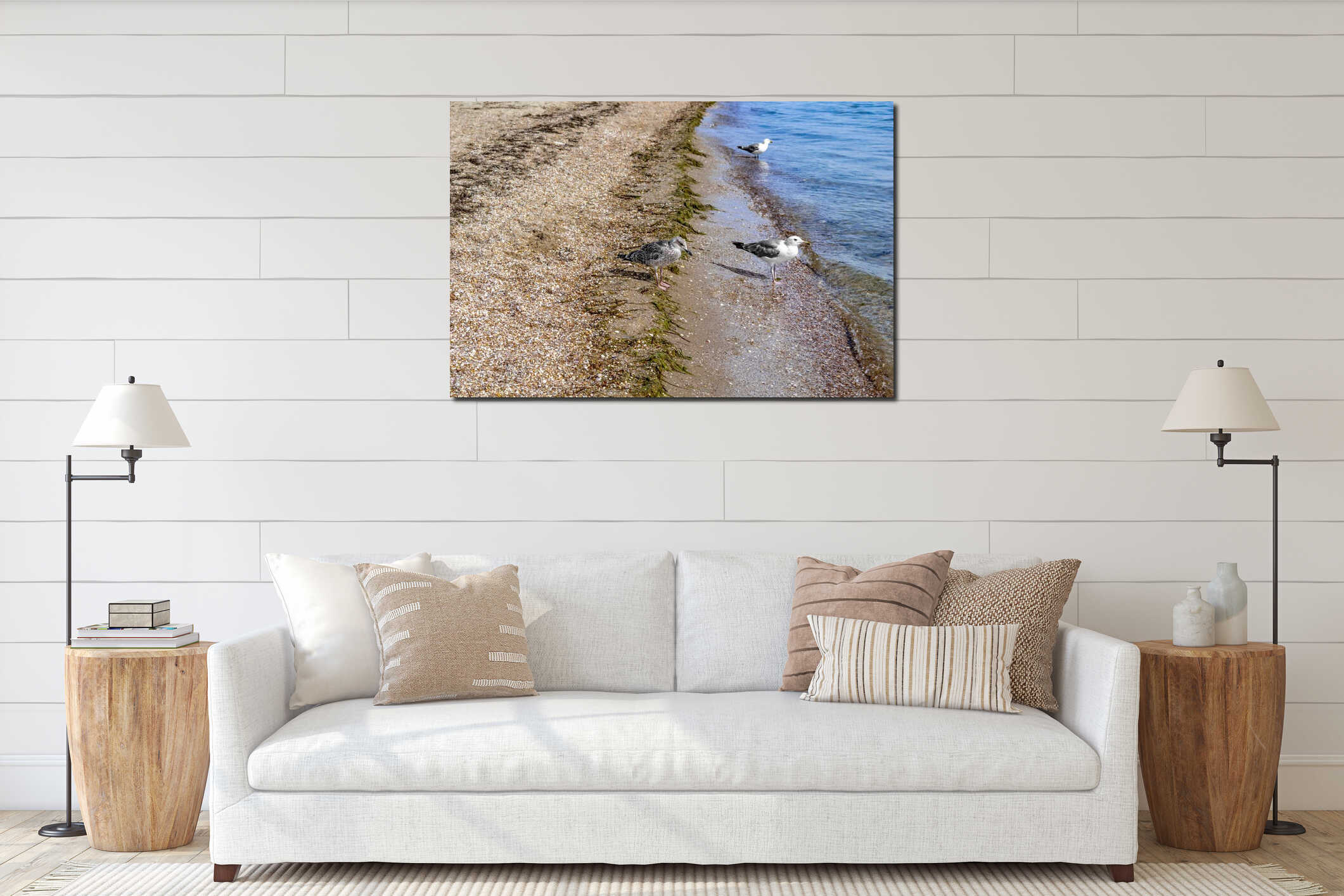 Young and adult Great black-backed gulls stand on the sandy-shell coast of the Black Sea in the Zaliznyi port Kherson region, interior mockup