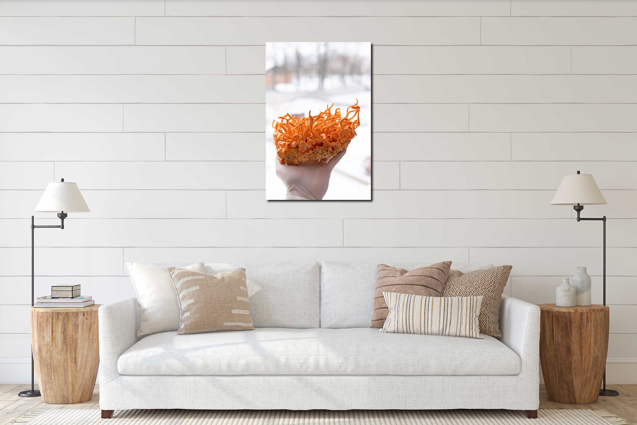White background . Vertical shot. Fresh Cordyceps. Fungi Human Health. Cordyceps Militaris mushroom in hand. interior mockup