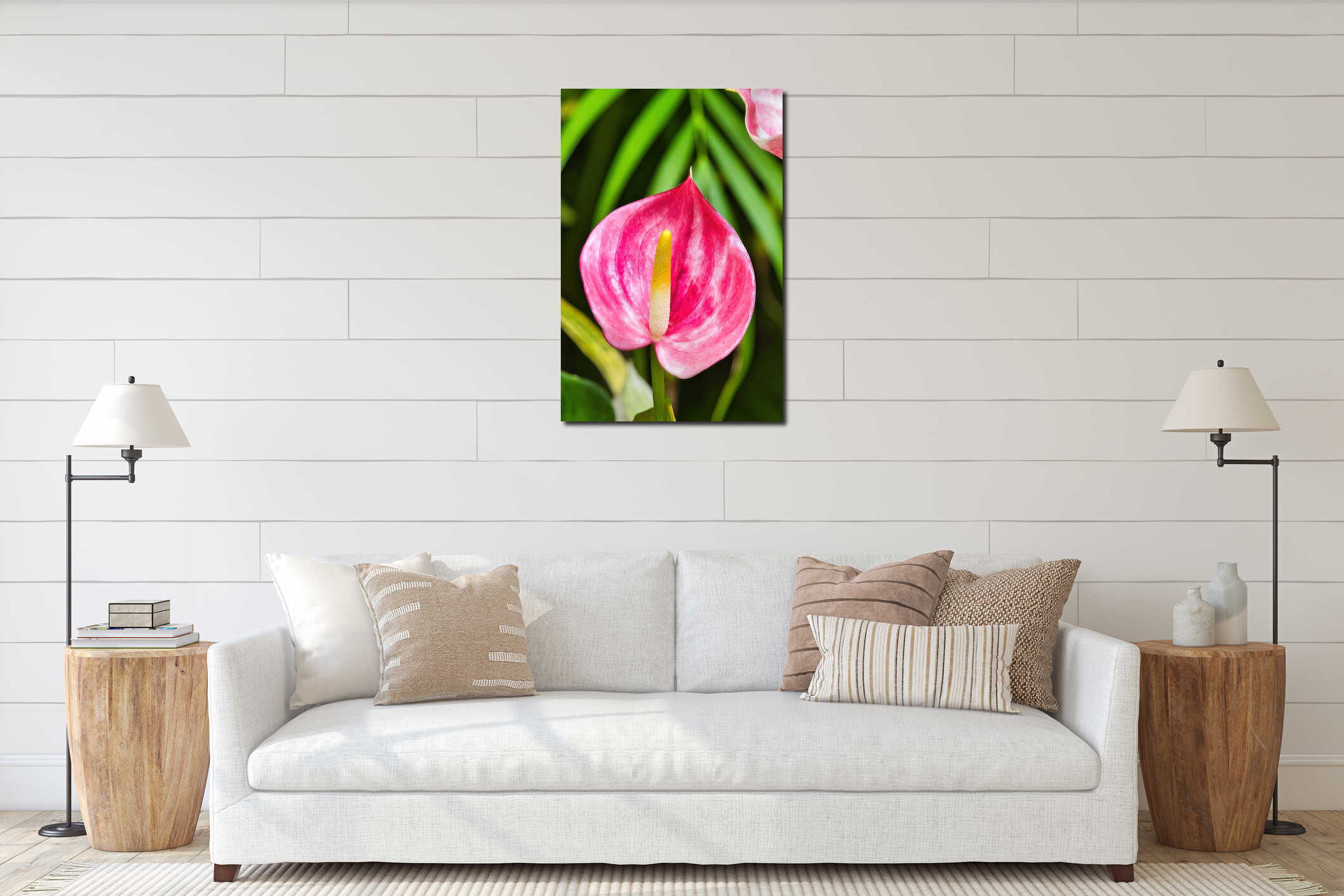 Vivid glowing pink anthurium flower. interior mockup