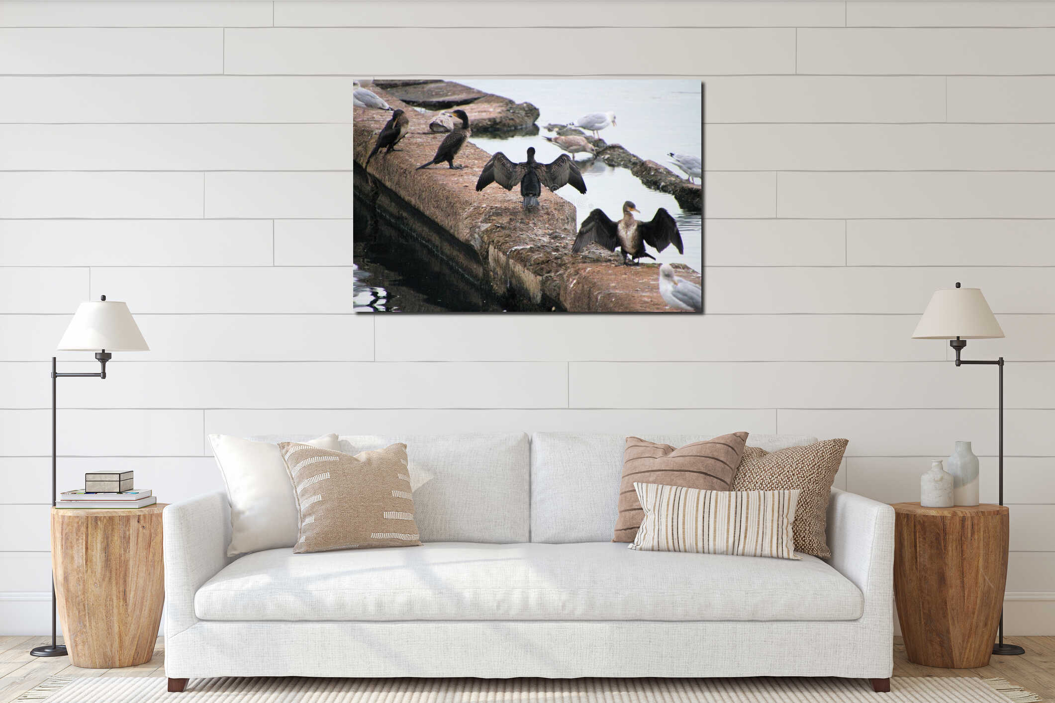 A close up of some Cormorants interior mockup