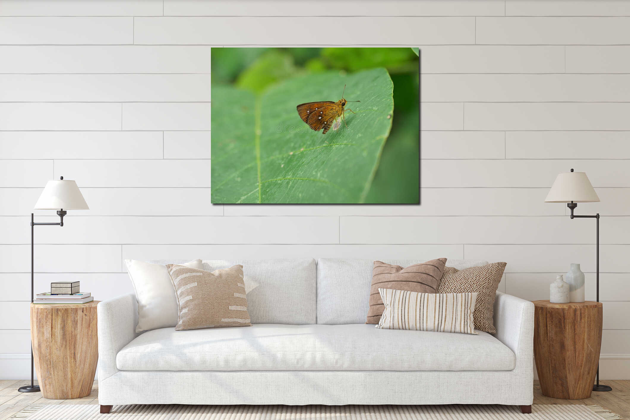 Chestnut Bob Butterfly on leaf with natural green background interior mockup
