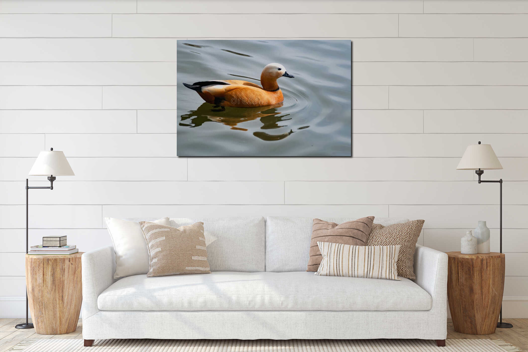 Wild duck swims on the pond, spring, feather animals happily spend time outdoors in parks for recreation and walking interior mockup