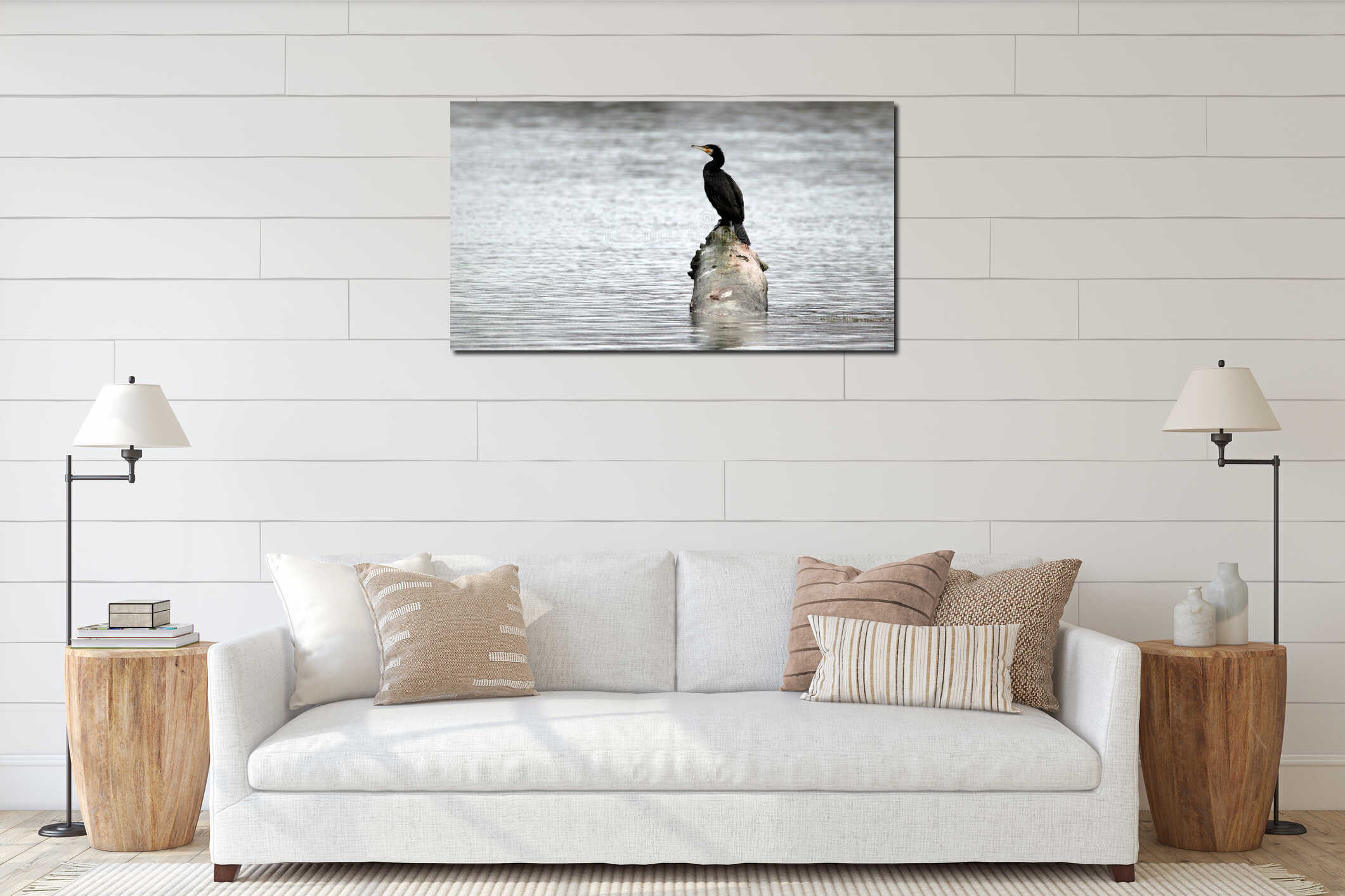 Beautiful shot of a Great cormorant sitting on a stone in the water. interior mockup