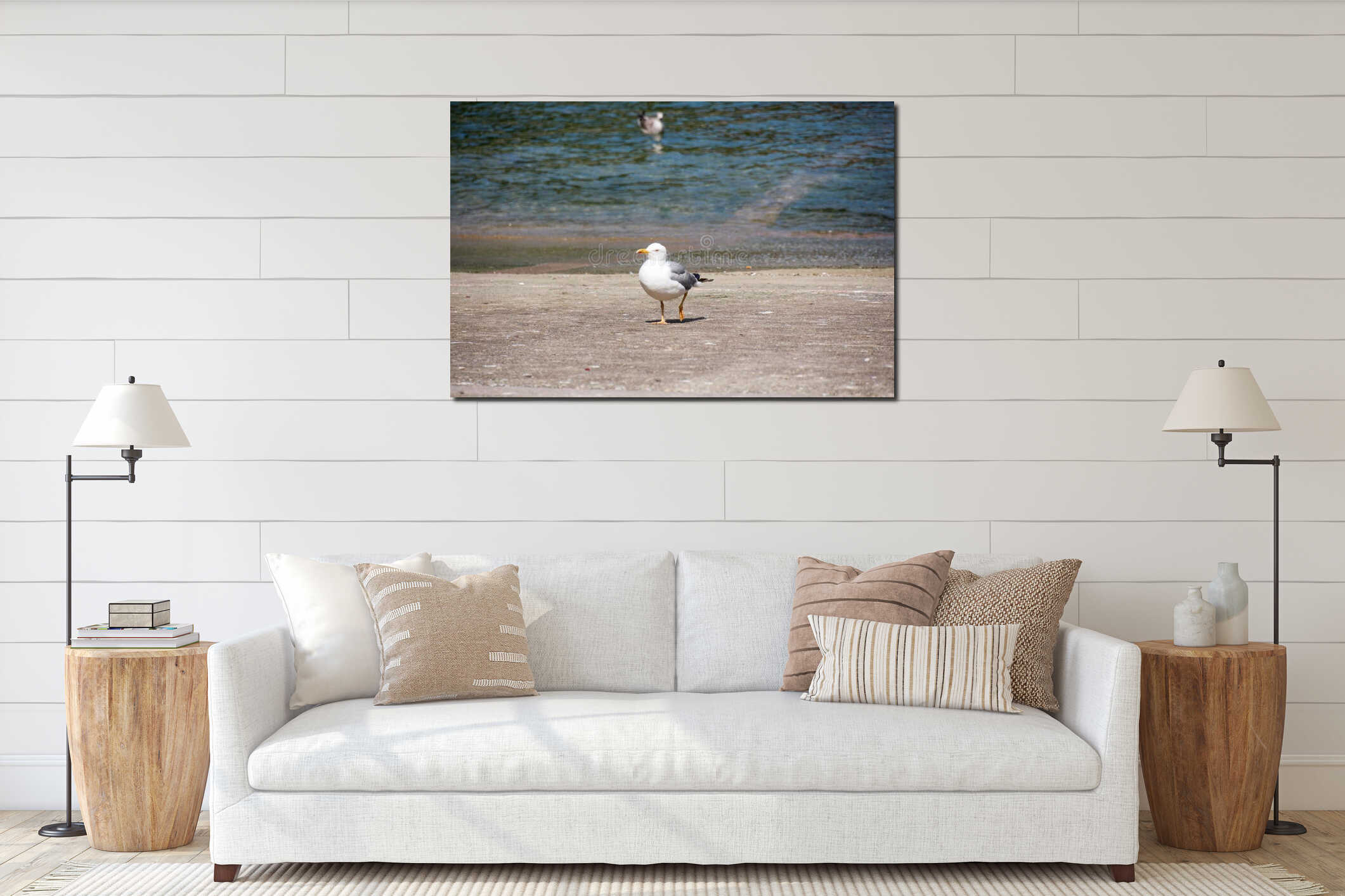 Beautiful white adult European herring seagull walking on the beach on a sunny day interior mockup