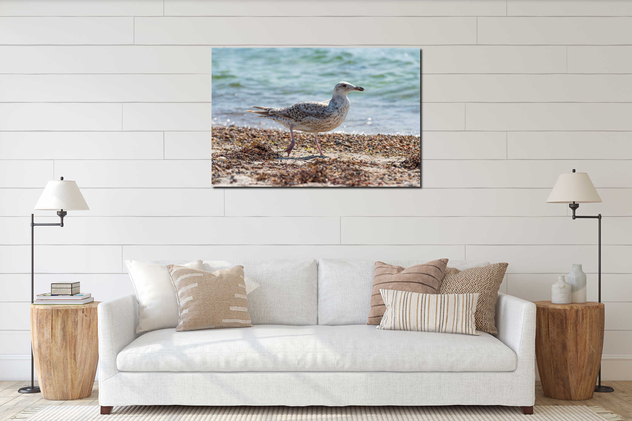Young seagull walking on a sand beach.. interior mockup