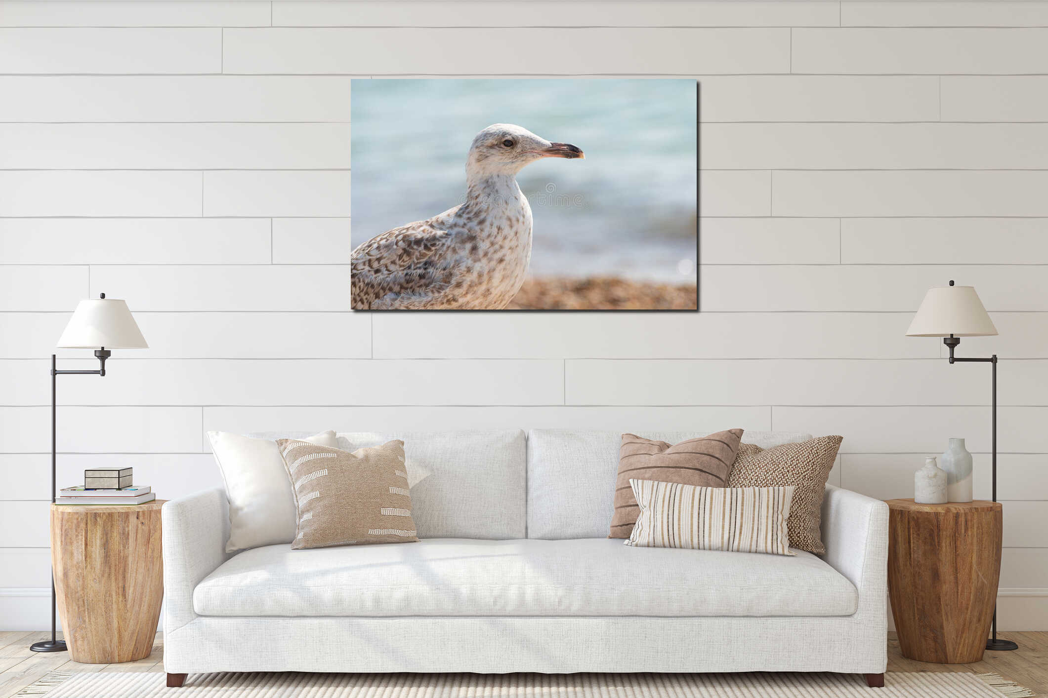 Young seagull walking on a sand beach.. interior mockup