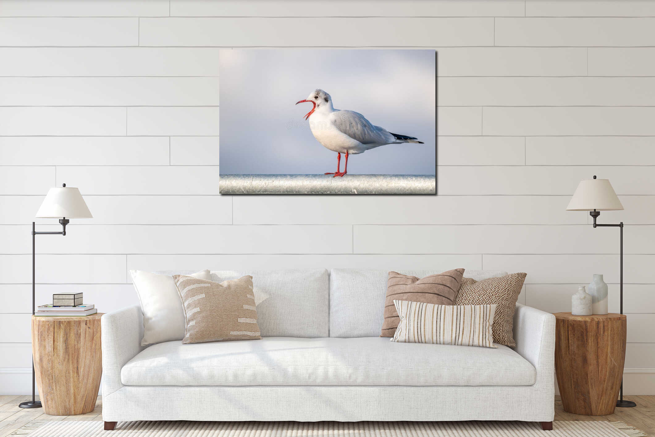 Black-headed gull in winter plumage crying with open beak. Perched on a barrier on the banks of the Rhine interior mockup