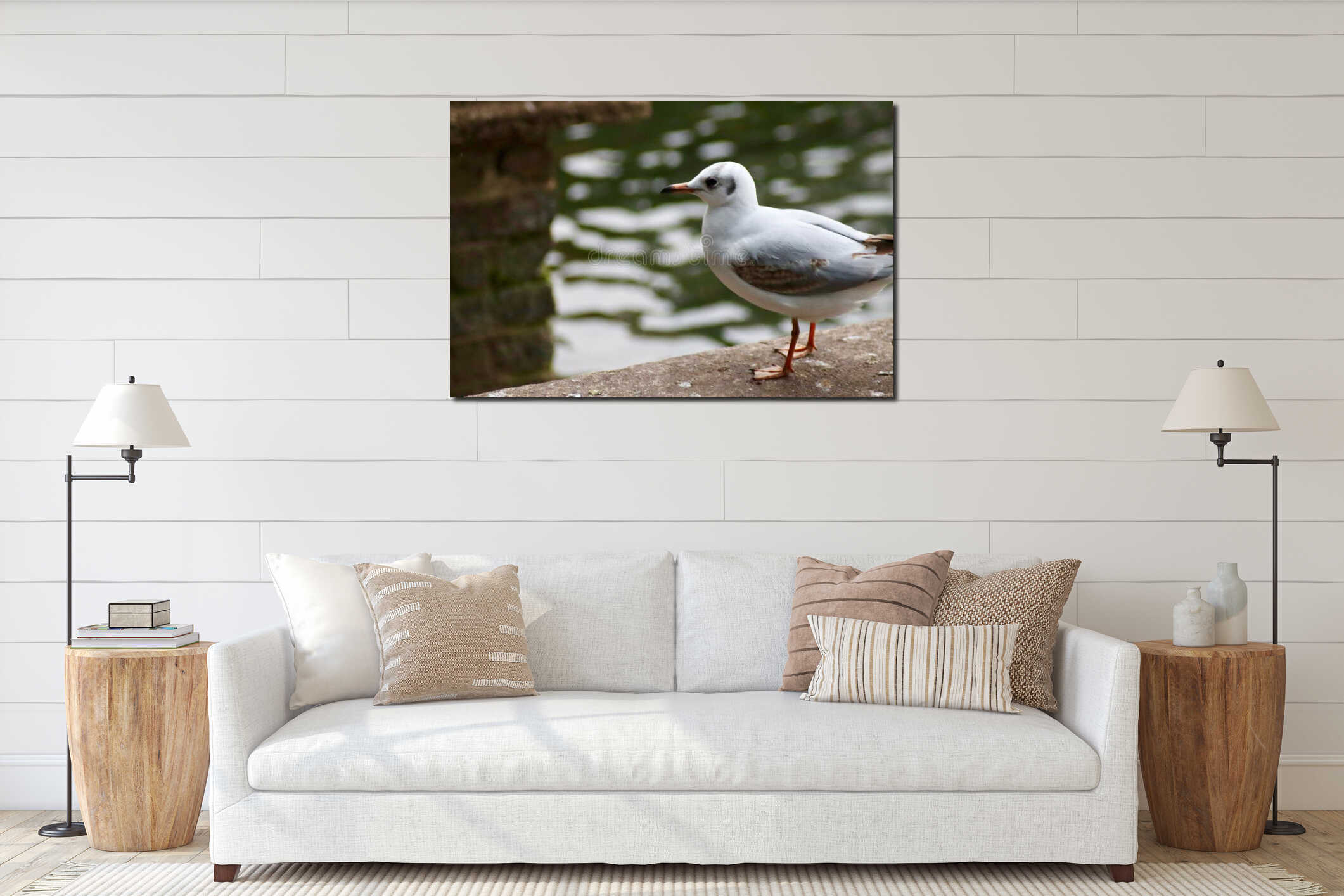 A black headed gull standing looking out over water interior mockup