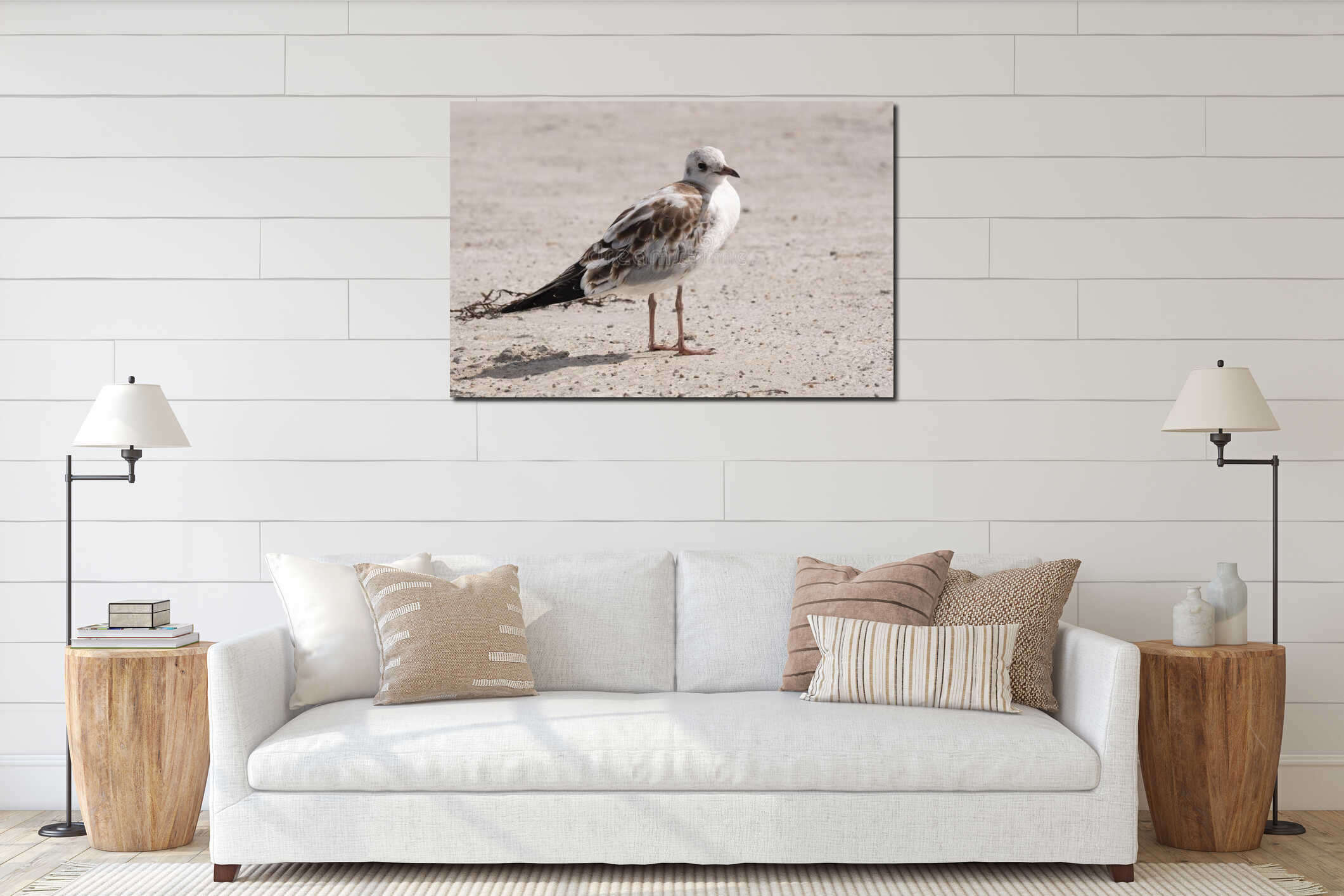 brown Seagull standing on the beach interior mockup