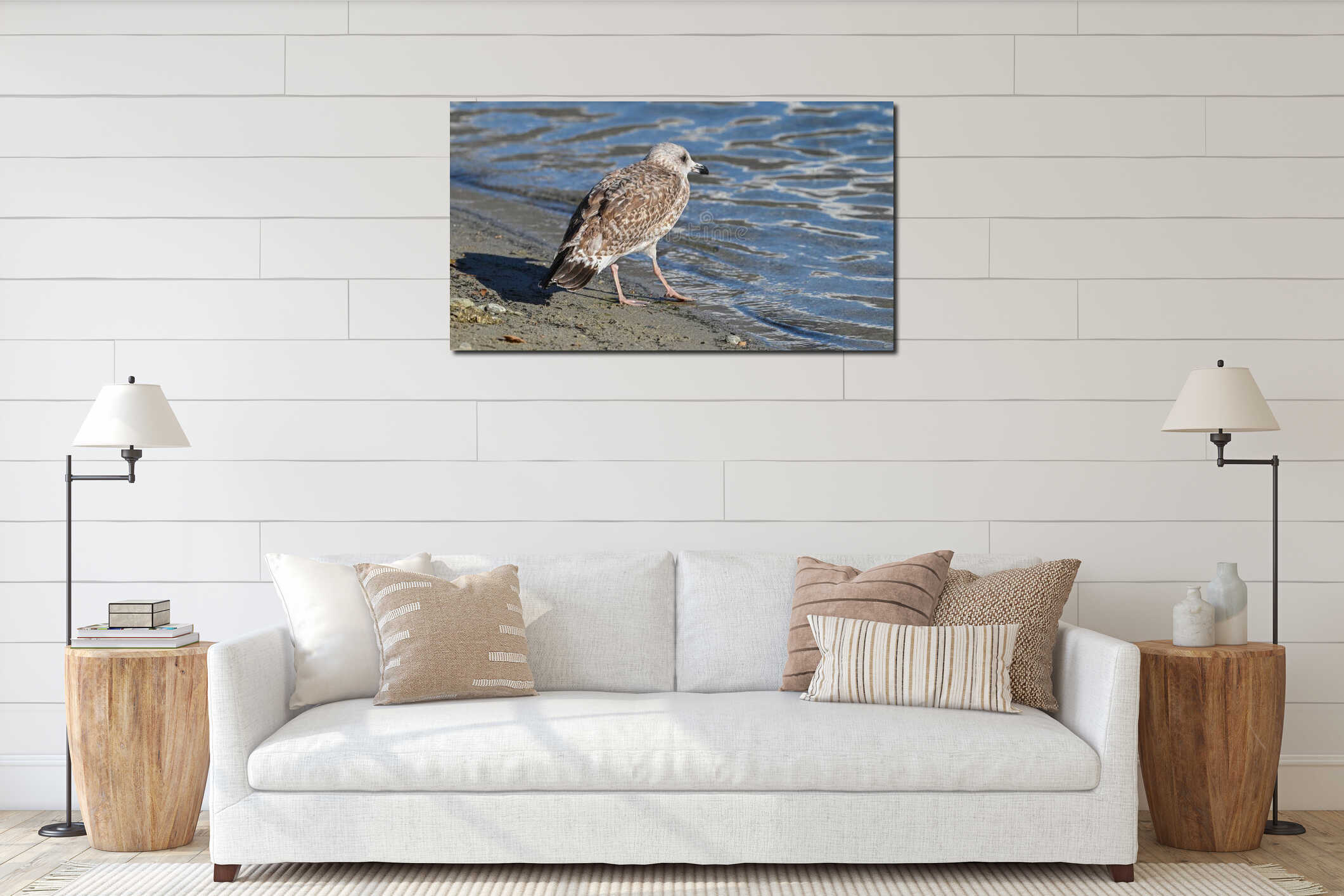 Young seagull walking on the beach next to the lake interior mockup
