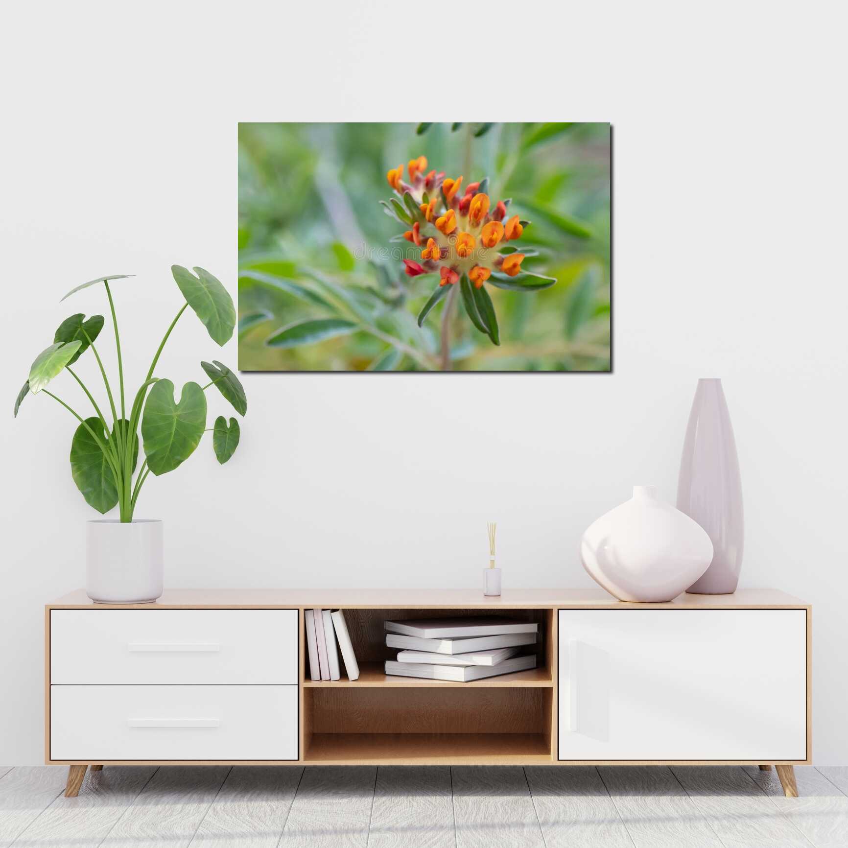 Canvas above sofa for size context