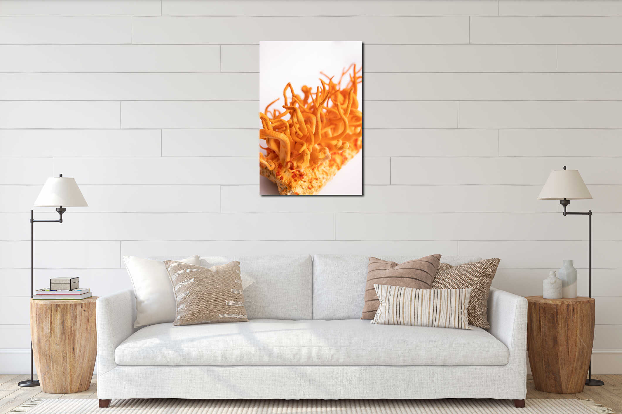 Fungi for Human Health. Vertical shot. Fresh Cordyceps. Militaris mushroom interior mockup