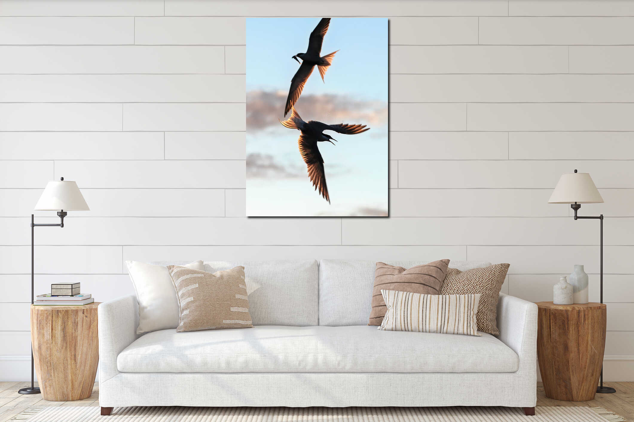 Silhouettes of flying common terns with fish in beak. Flying common tern on the sunset sky background. interior mockup