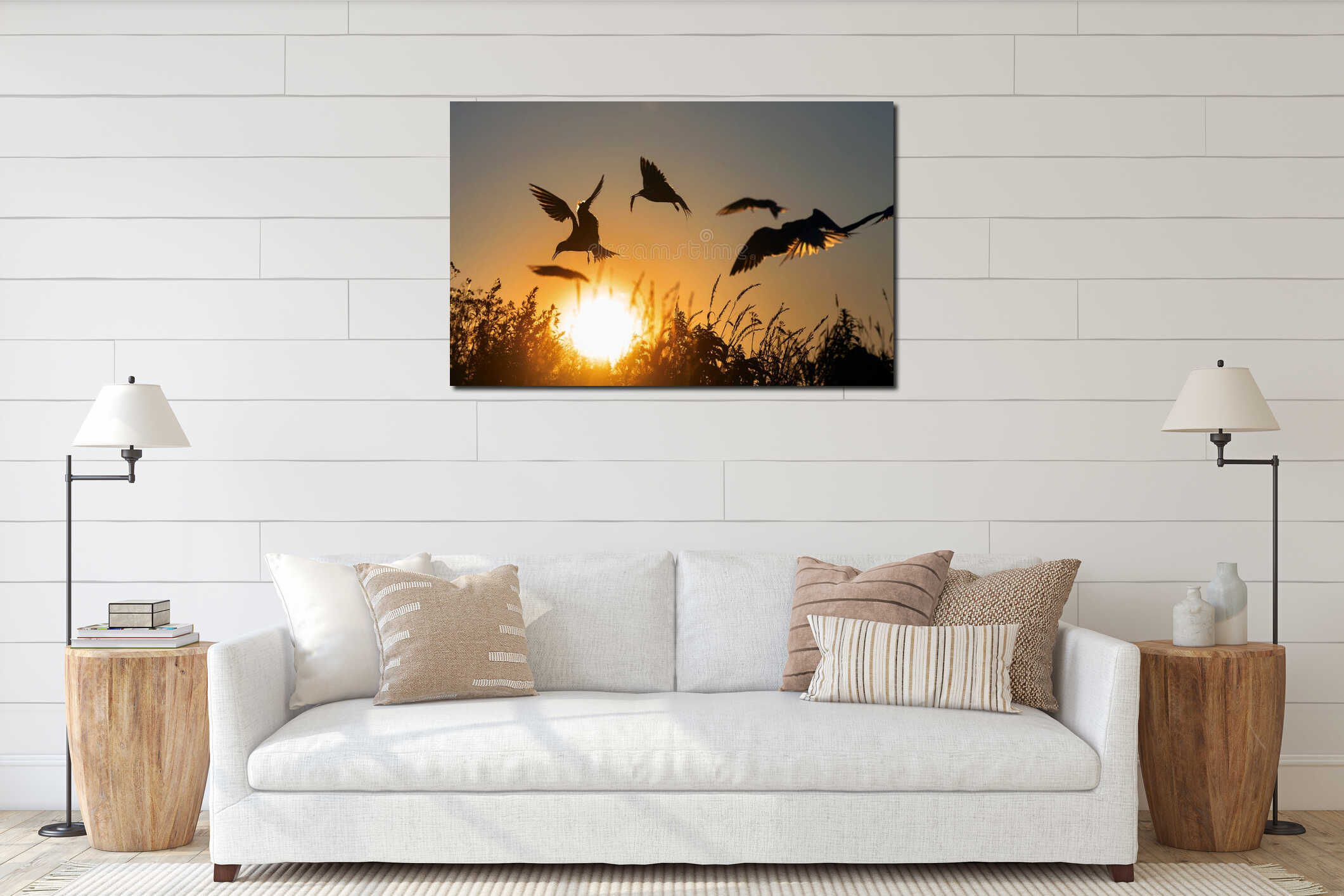 Silhouettes of flying common terns. Flying common tern on the sunset sky background. interior mockup