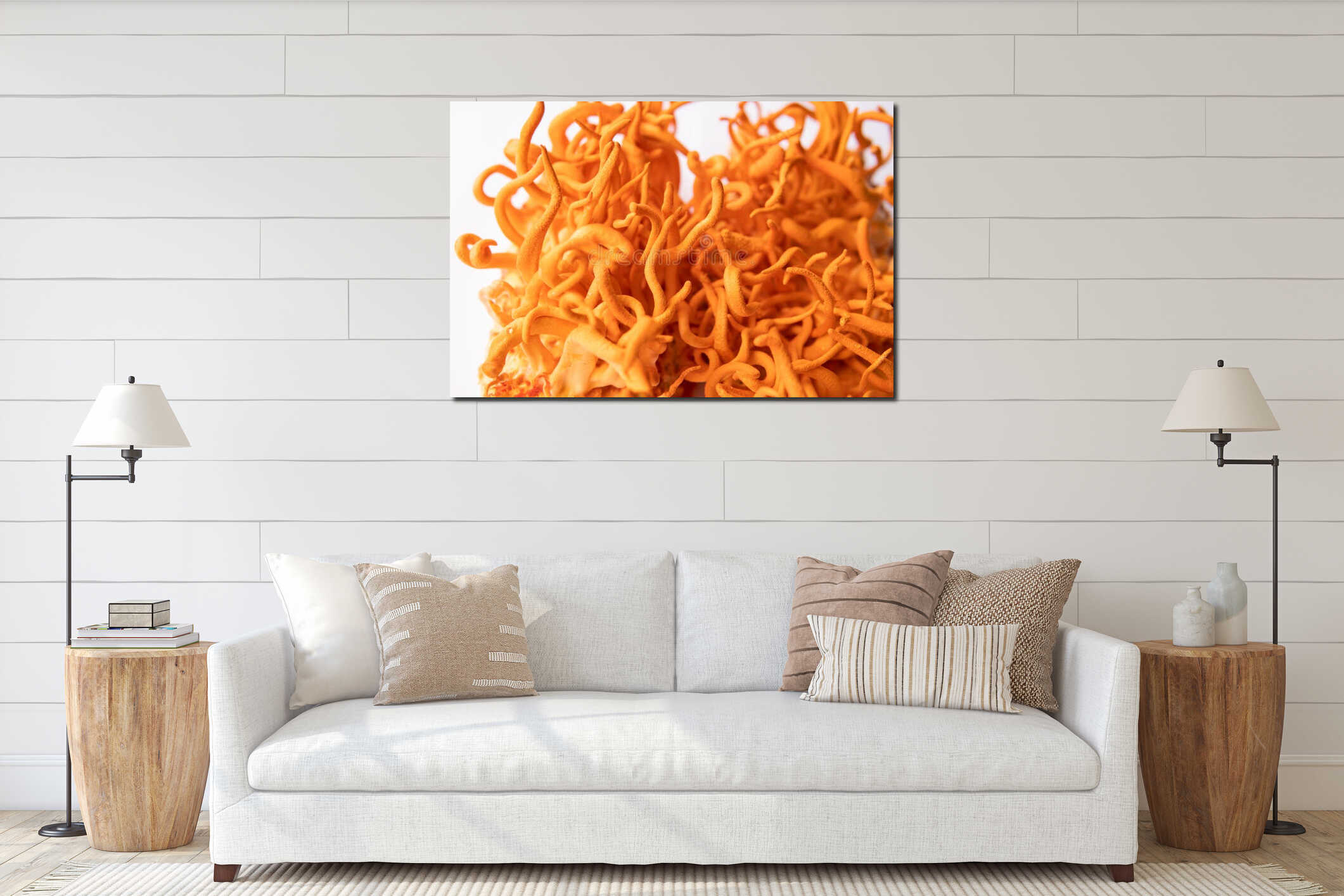 Cordyceps Militaris mushroom. Cordyceps Treatment with Adenosine. Fungi Human Health. interior mockup