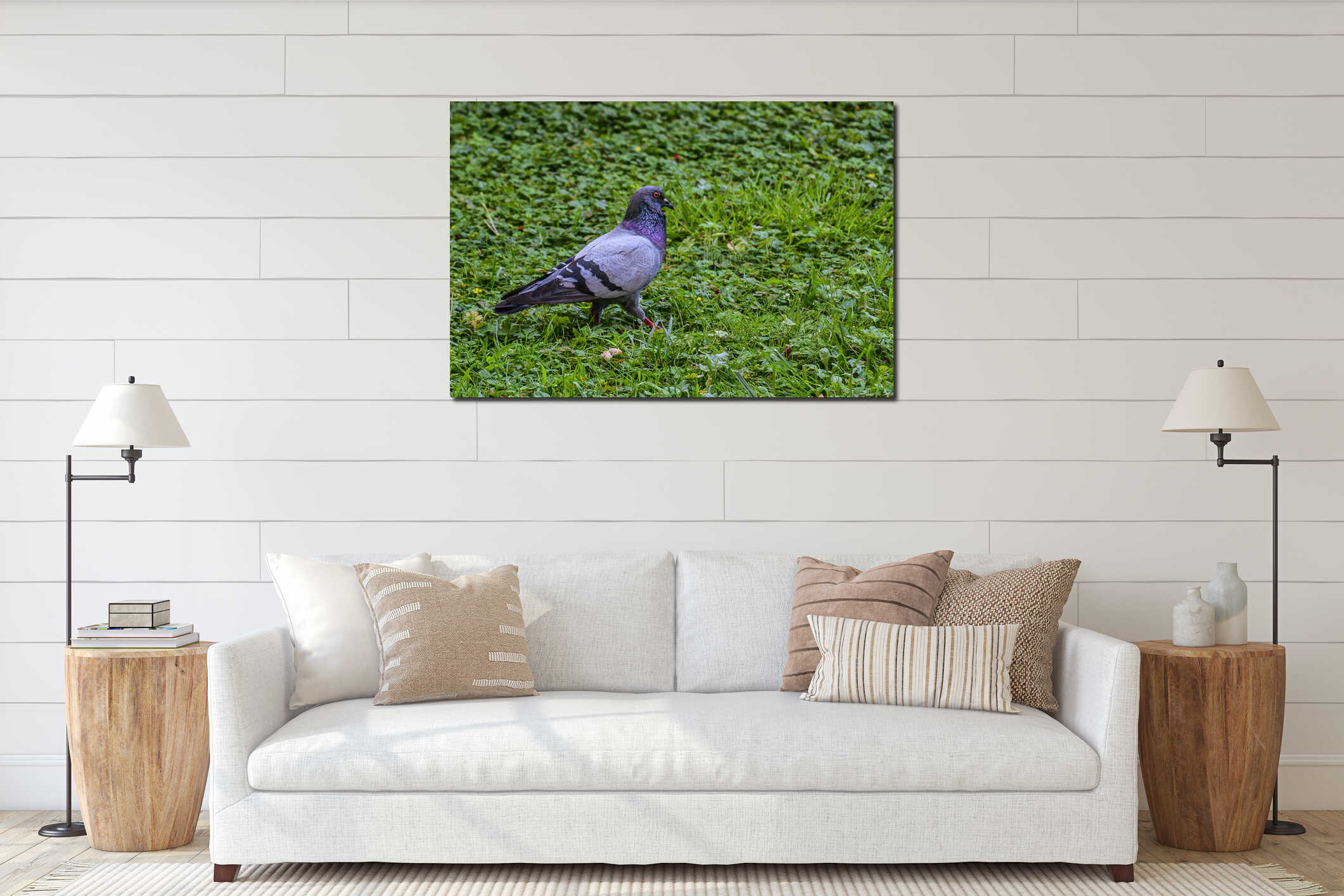 Pigeon in grass interior mockup