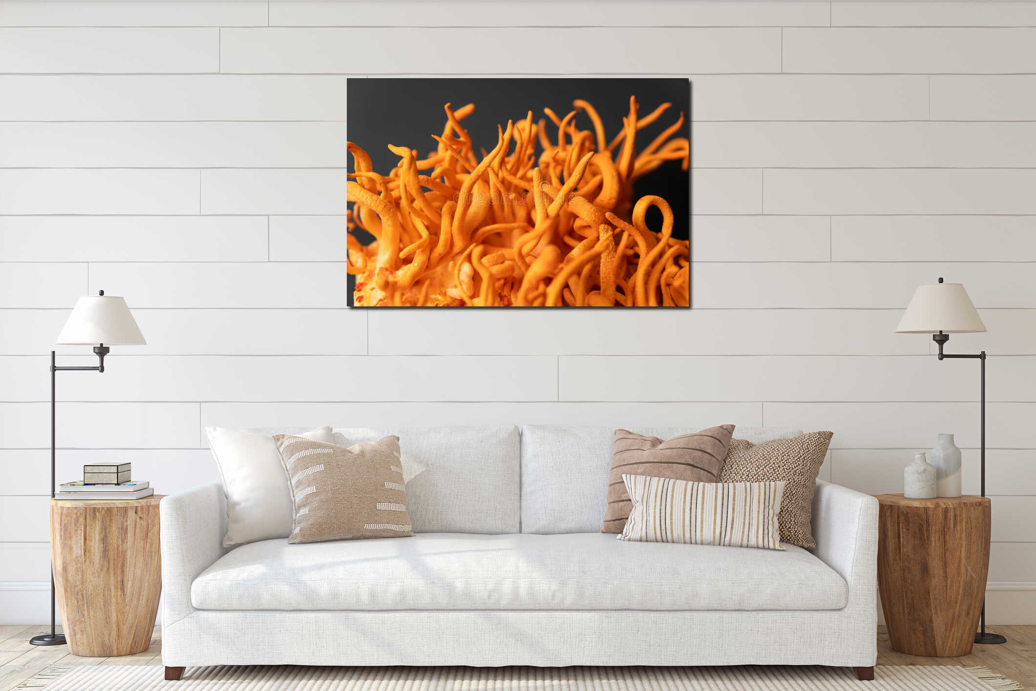 Cordyceps Militaris mushroom. Cordycepin Using . Cordyceps Treatment with Adenosine. interior mockup