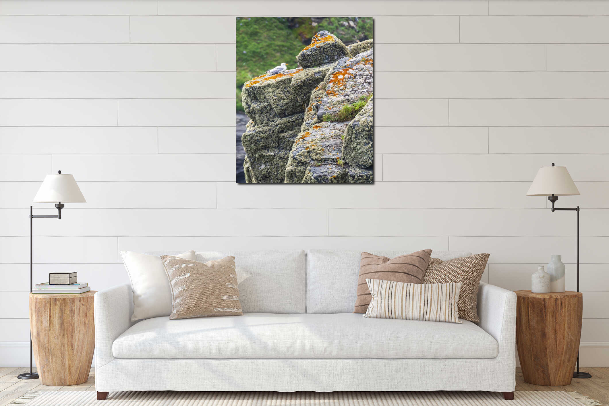Seagull resting on a high cliff top edge at the Lizard peninsula,southern Cornwall, England, United Kingdom interior mockup