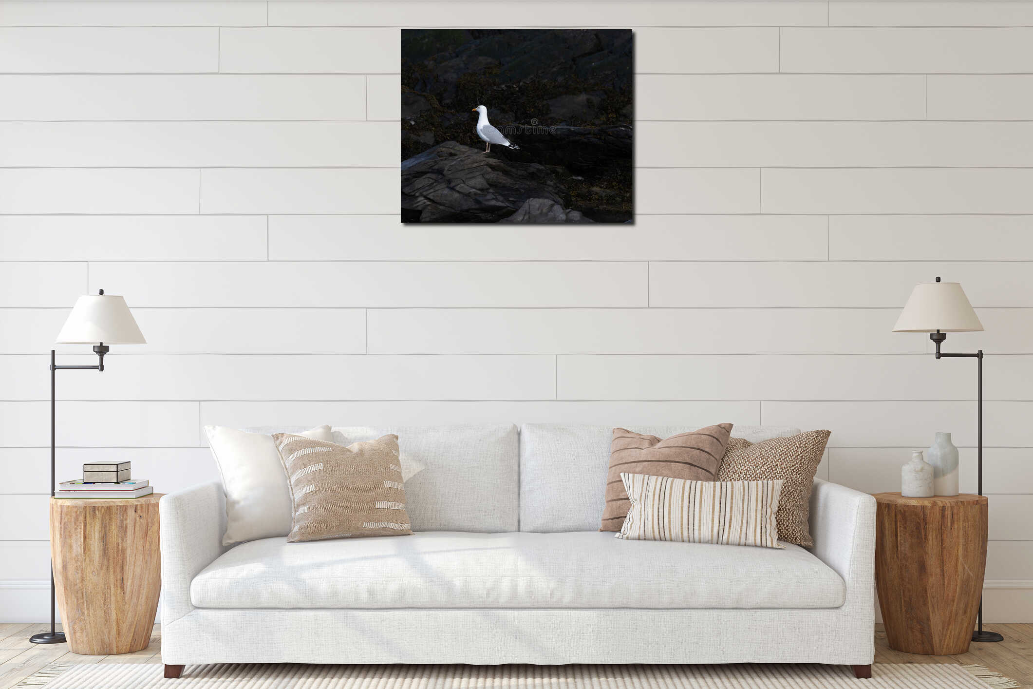 Lone herring gull seagull stood on black rocks interior mockup