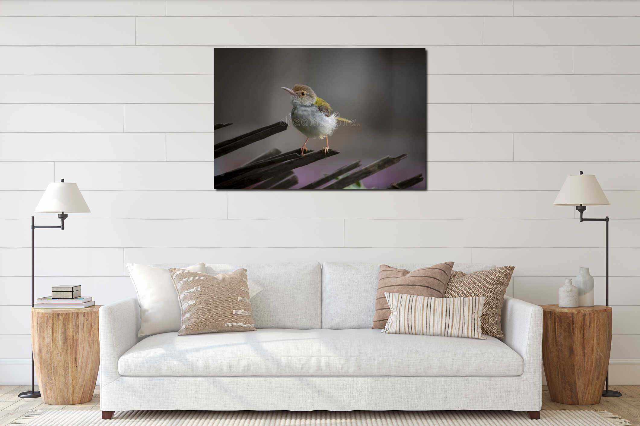 common tailorbird close up interior mockup