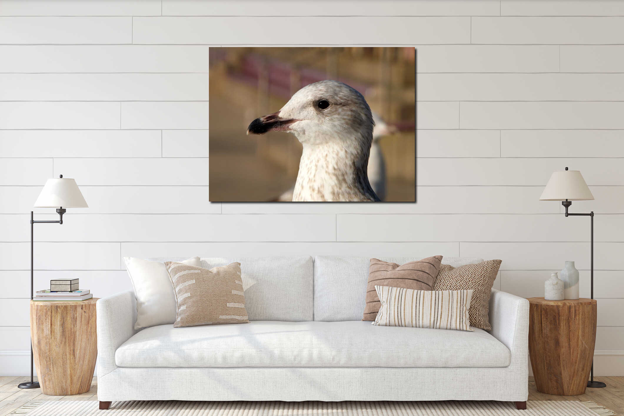 Close up of a the head of a juvenile herring gull sitting on the steps in the promenade area of blackpool interior mockup