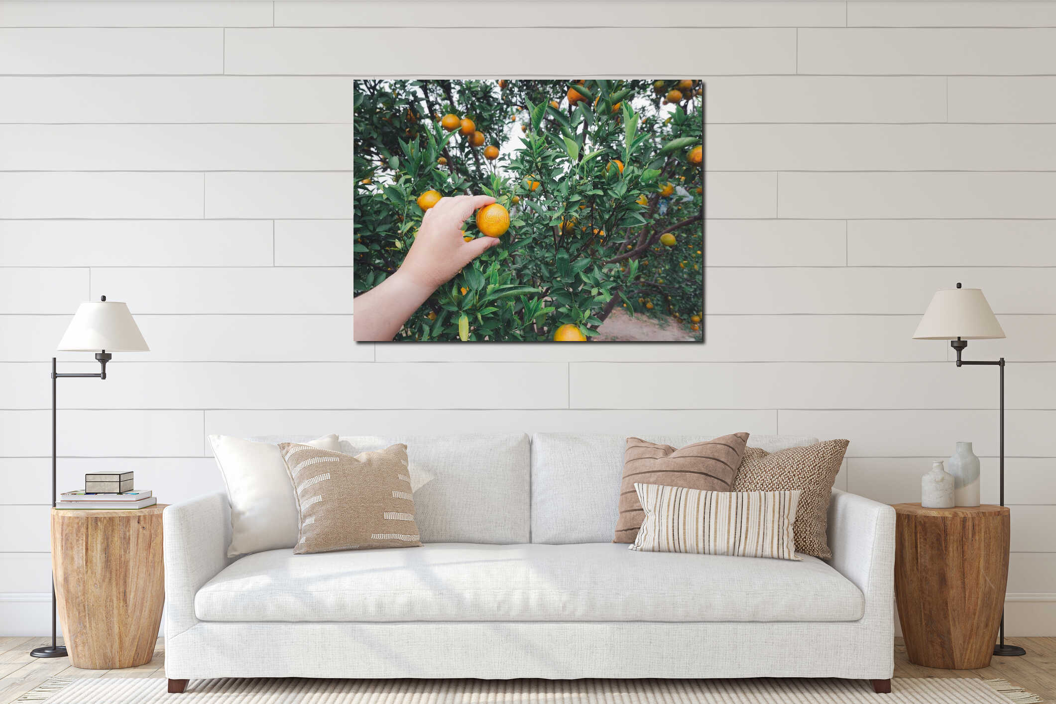 Close up of farmer or gardener hand checking orange on the tree interior mockup